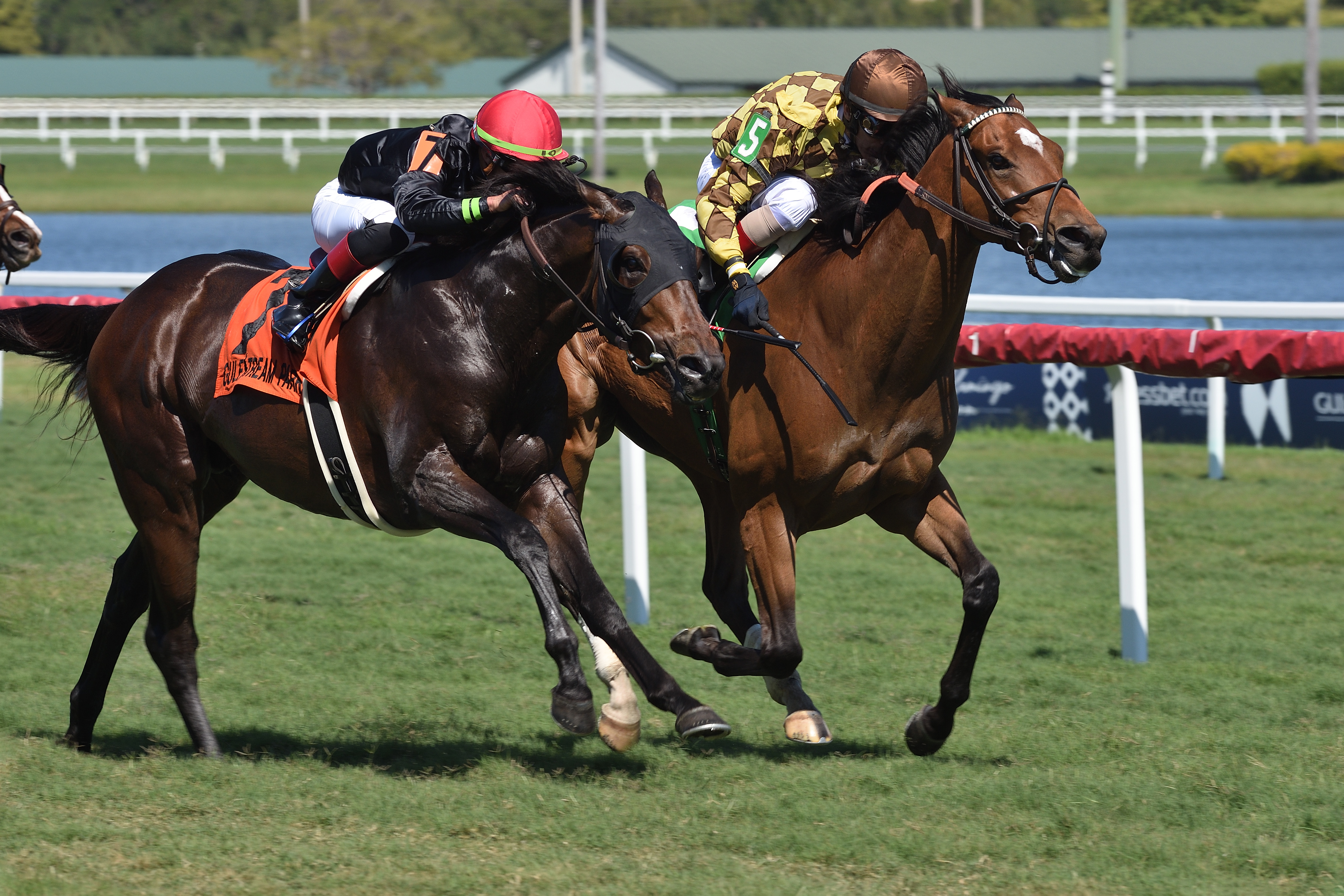 Krampus right and Breaking the Rules in the Canadian Turf