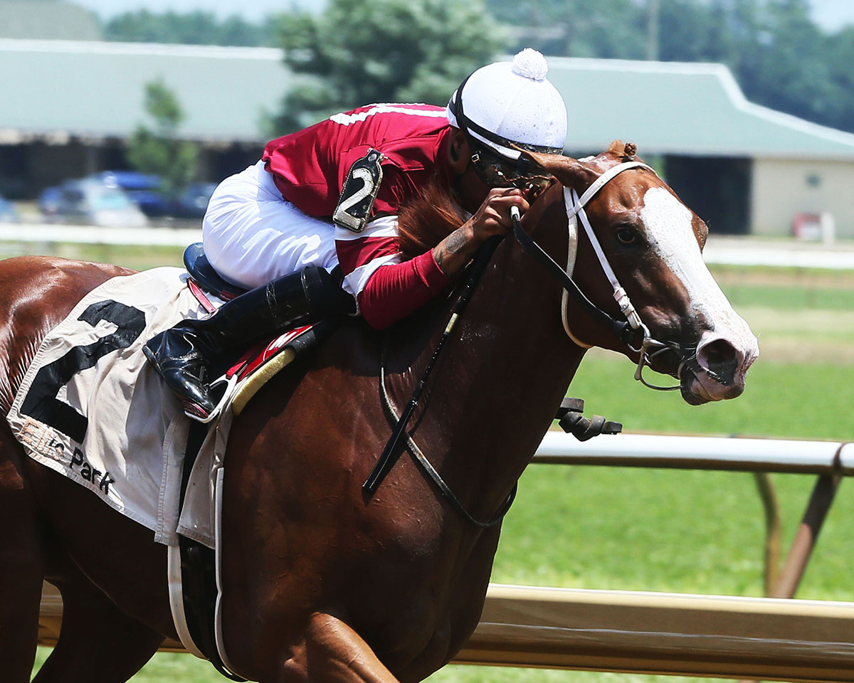 Kristizar wins a July 1 maiden race
