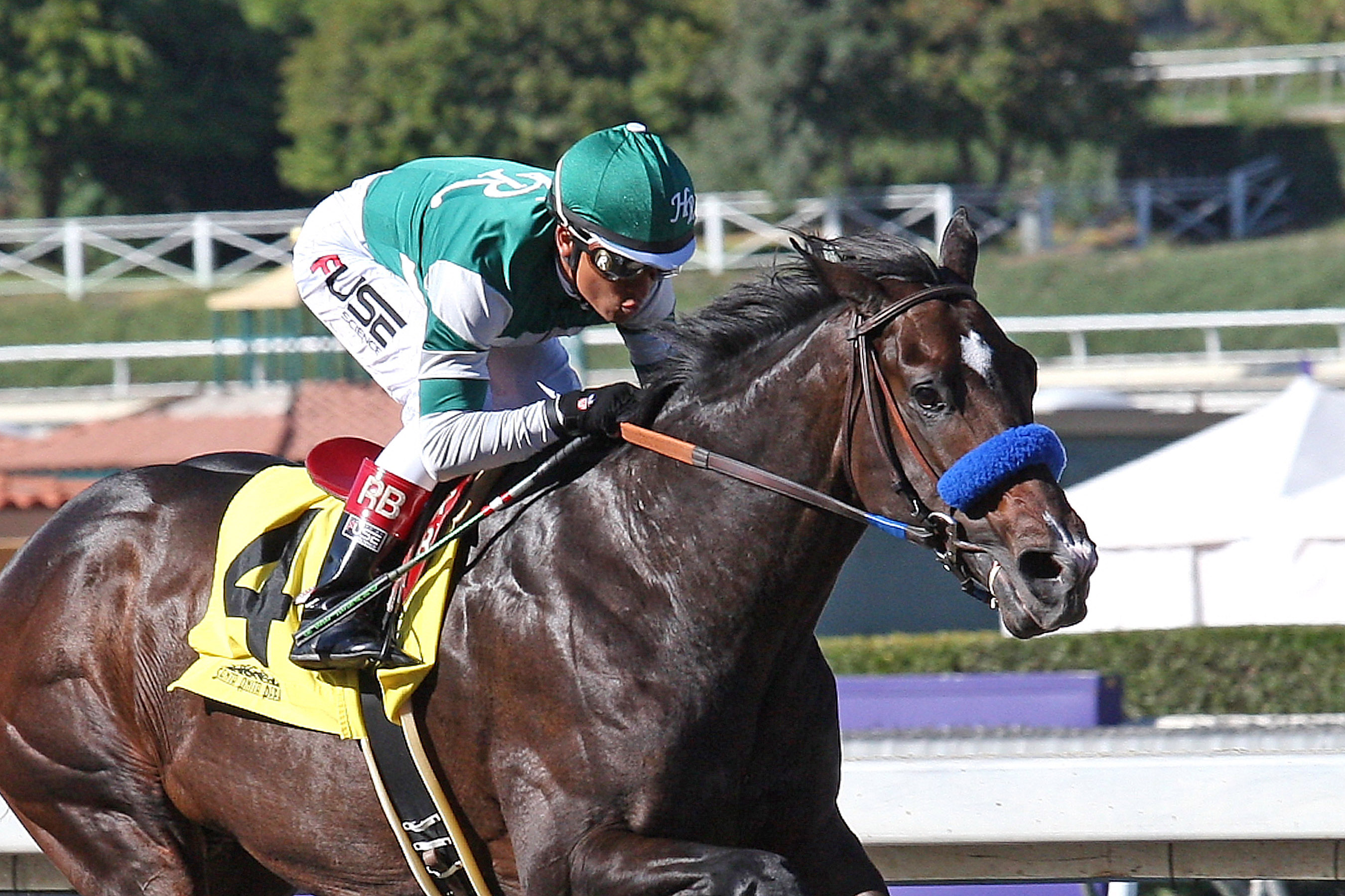 Kristo wins a maiden race