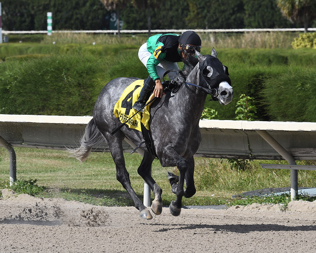 Kroy wins the 2018 Sunshine Millions Preview at Gulfstream Park West