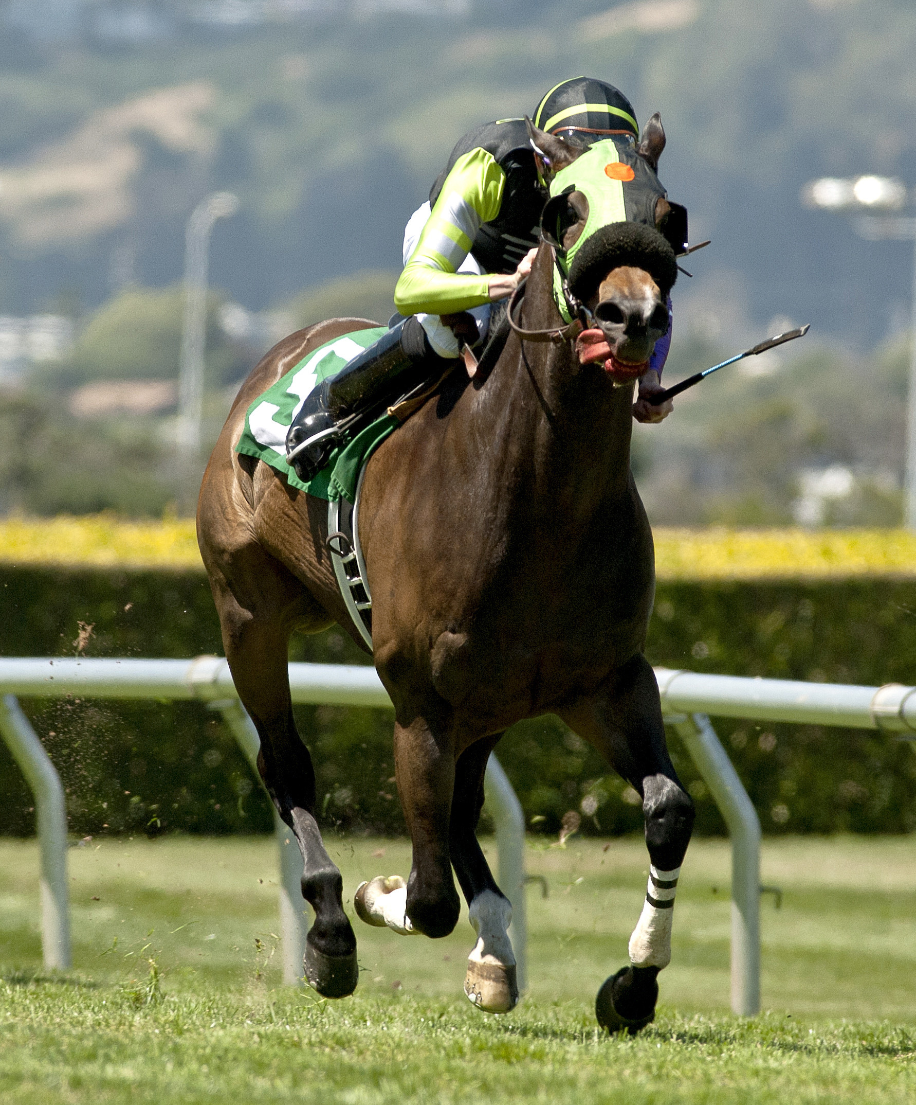 Krsto Skye wins the Albany Stakes