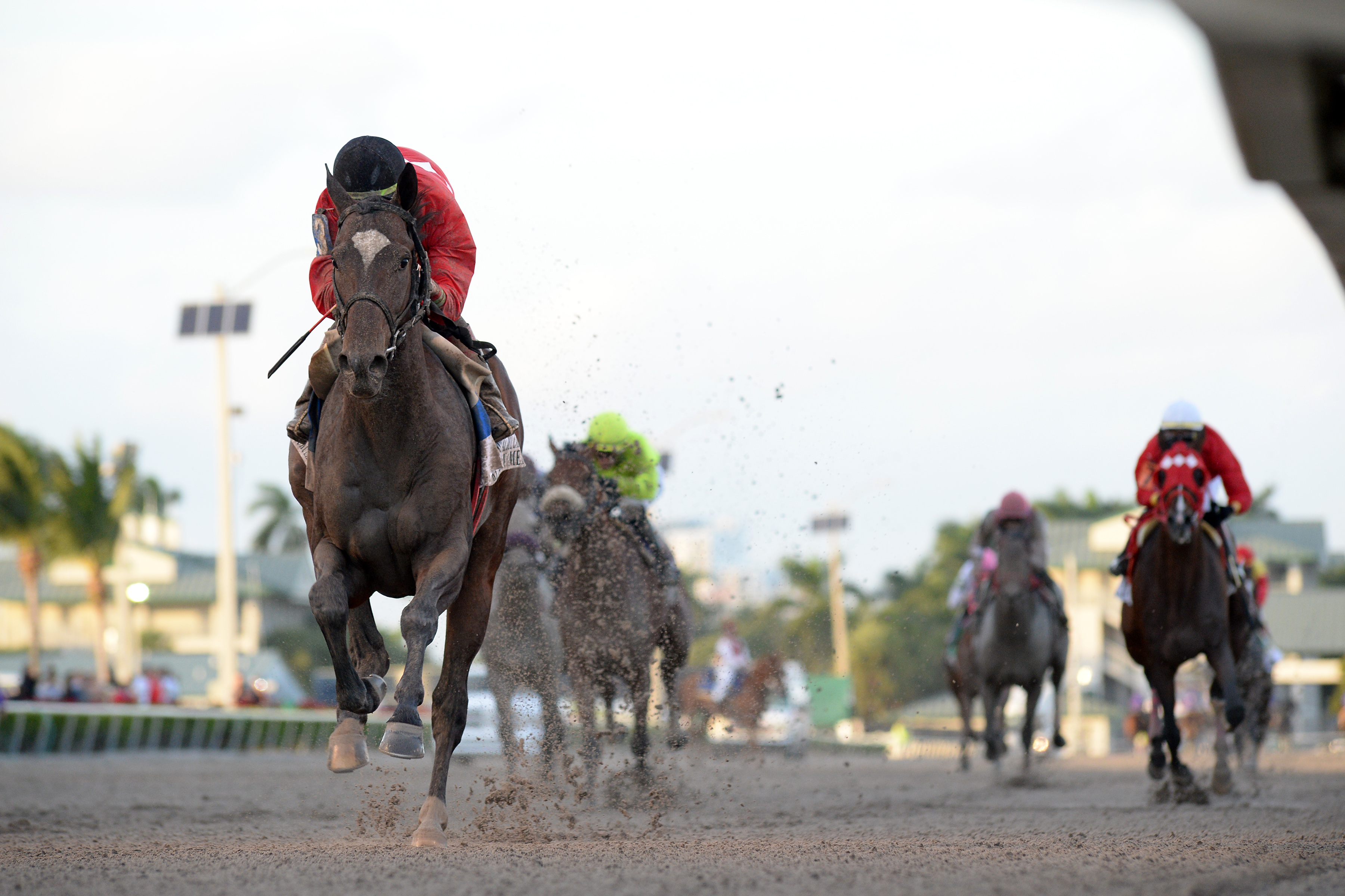 Kukulkan wins 2018 Clasico del Caribe