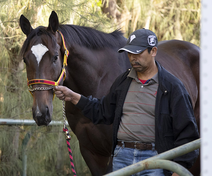 Kukulkan at Gulfstream Park on Jan. 20