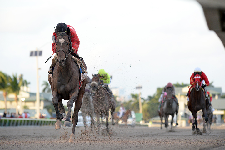 Kukulkan wins the 2018 Clasico del Caribe Stakes at Gulfstream Park
