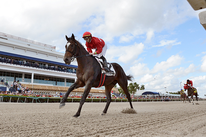 Kukulkan wins the 2019 Copa Confraternidad at Gulfstream Park