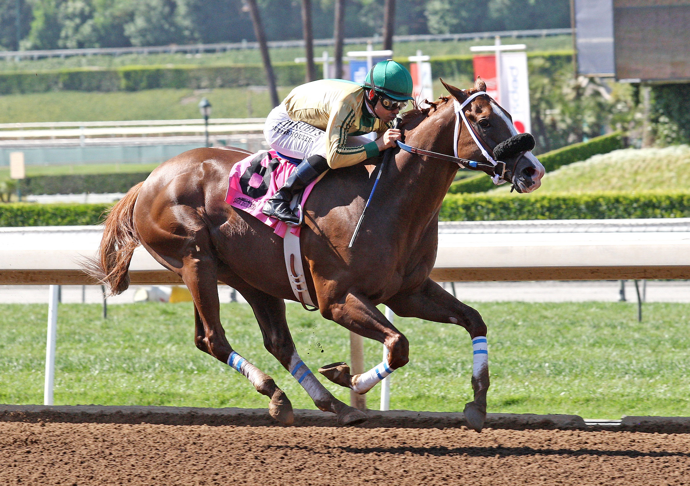 Kung Fu Mambo wins an optional claimer