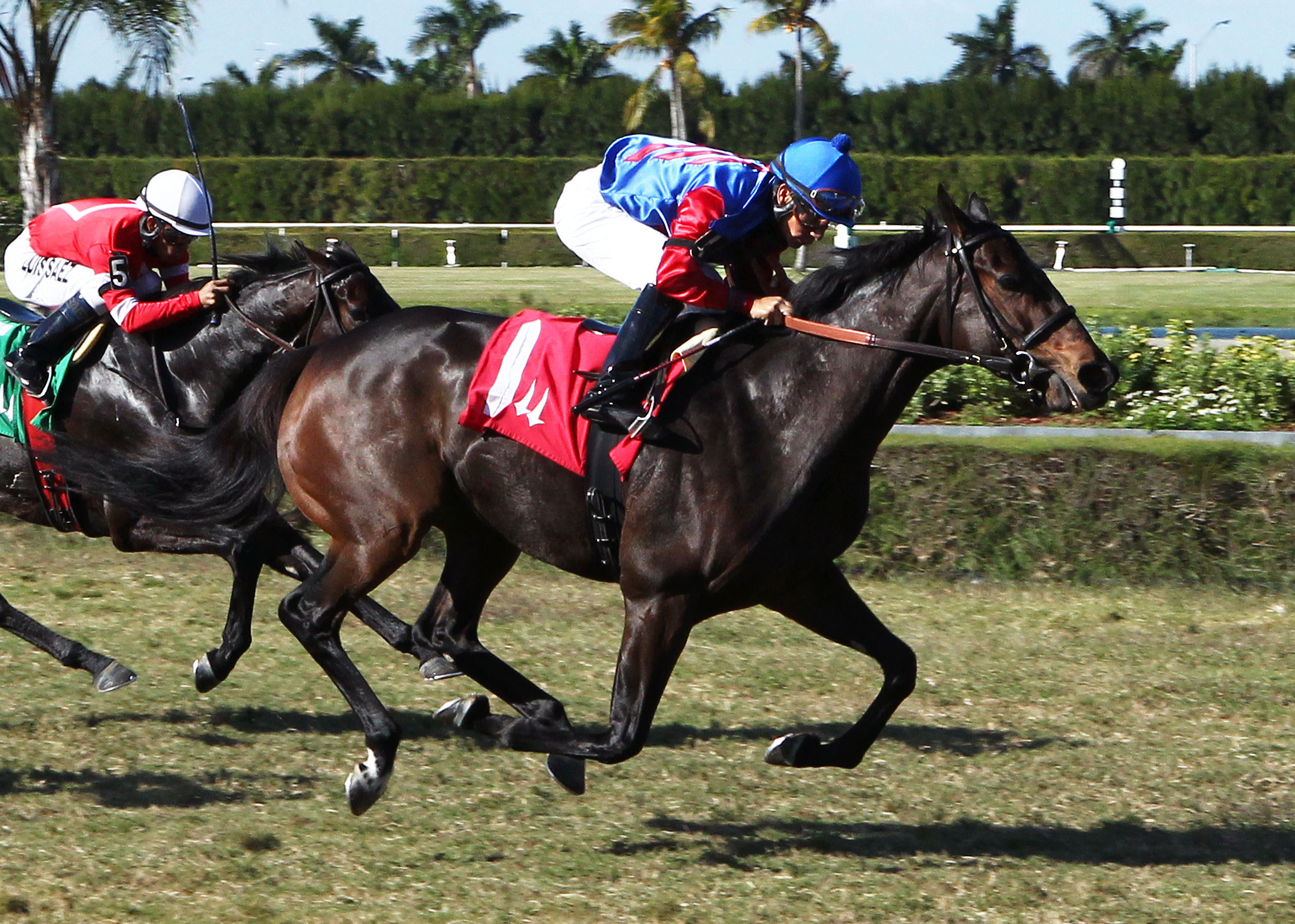 Kya One, My Charmer Handicap