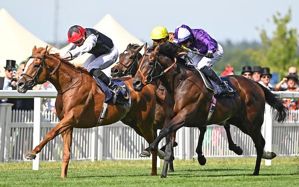 Kyprios - Gold Cup S. 2022