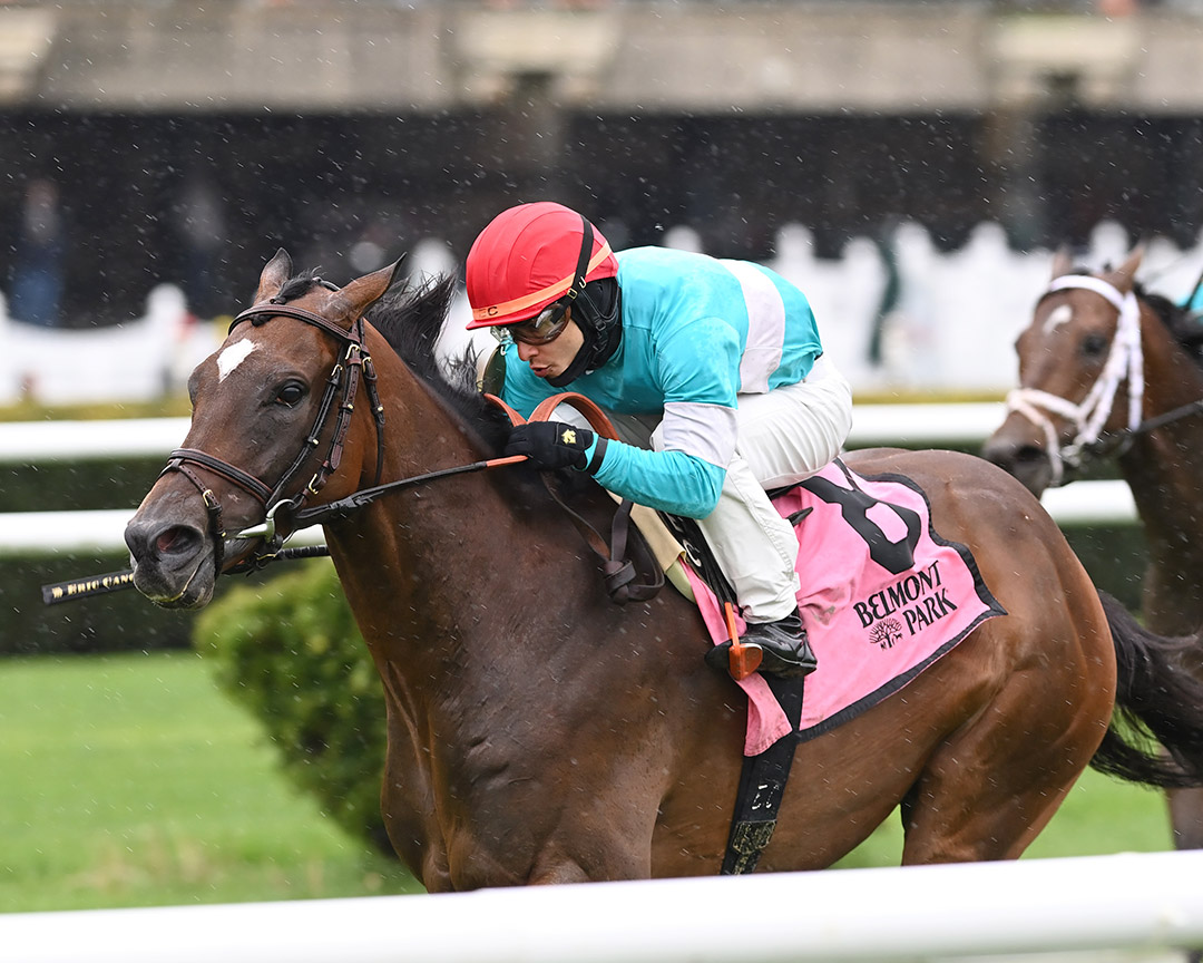L'Imperator wins the 2022 Fort Marcy Stakes at Belmont Park