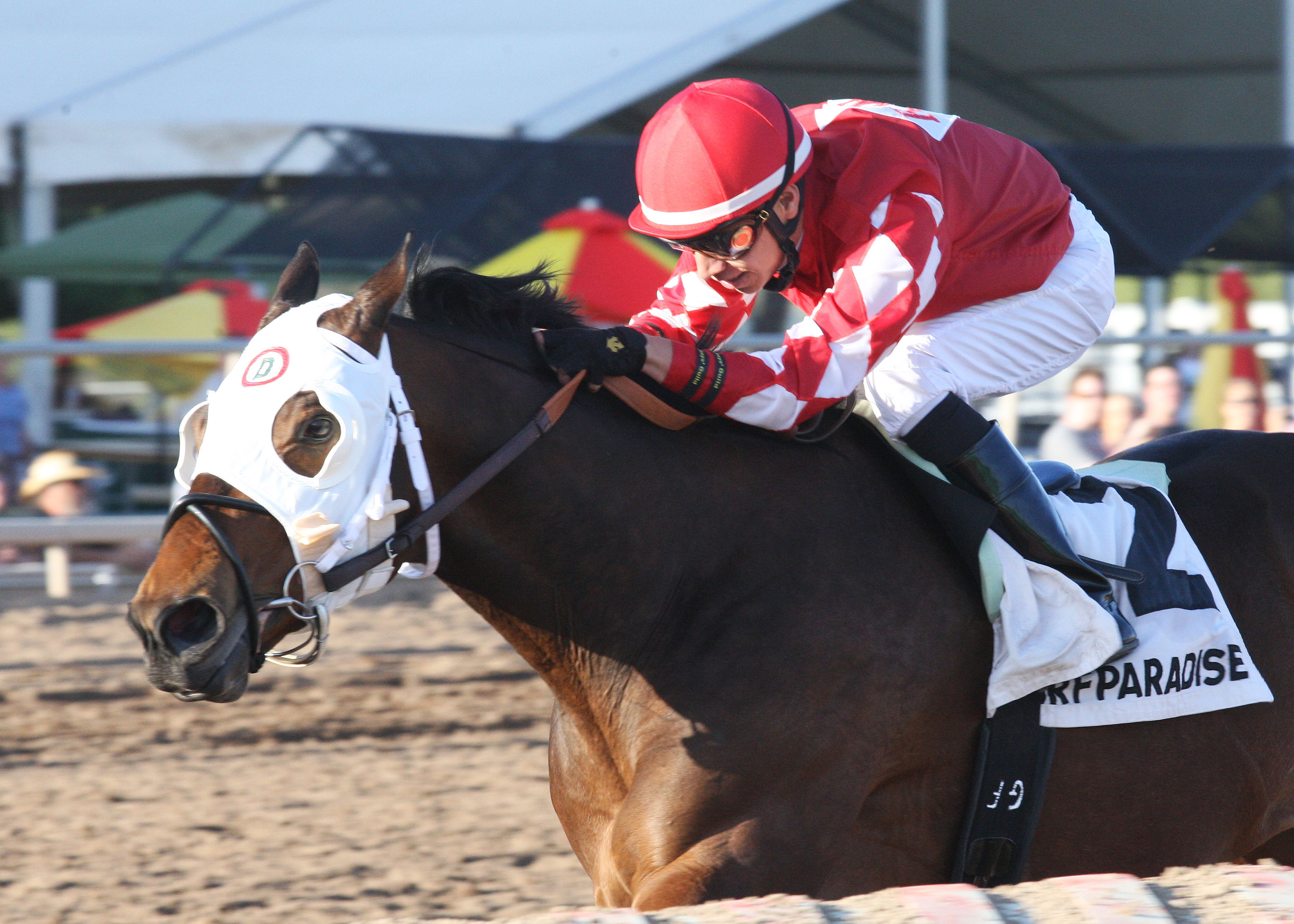 L.A. Weekend, Coyote Handicap
