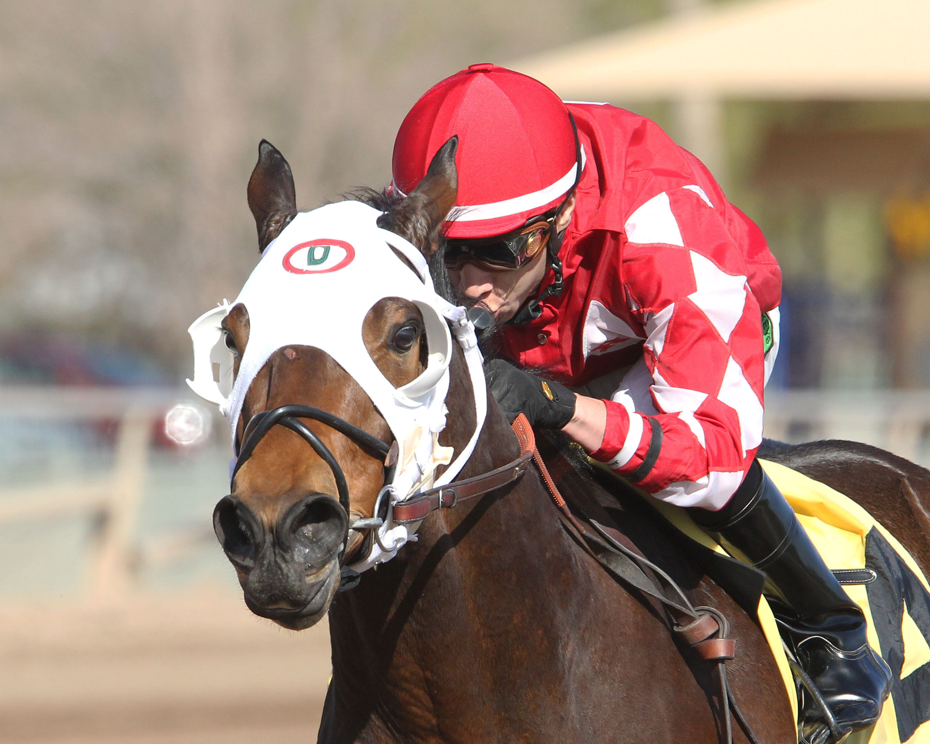 L.A. Weekend wins the Swift Stakes