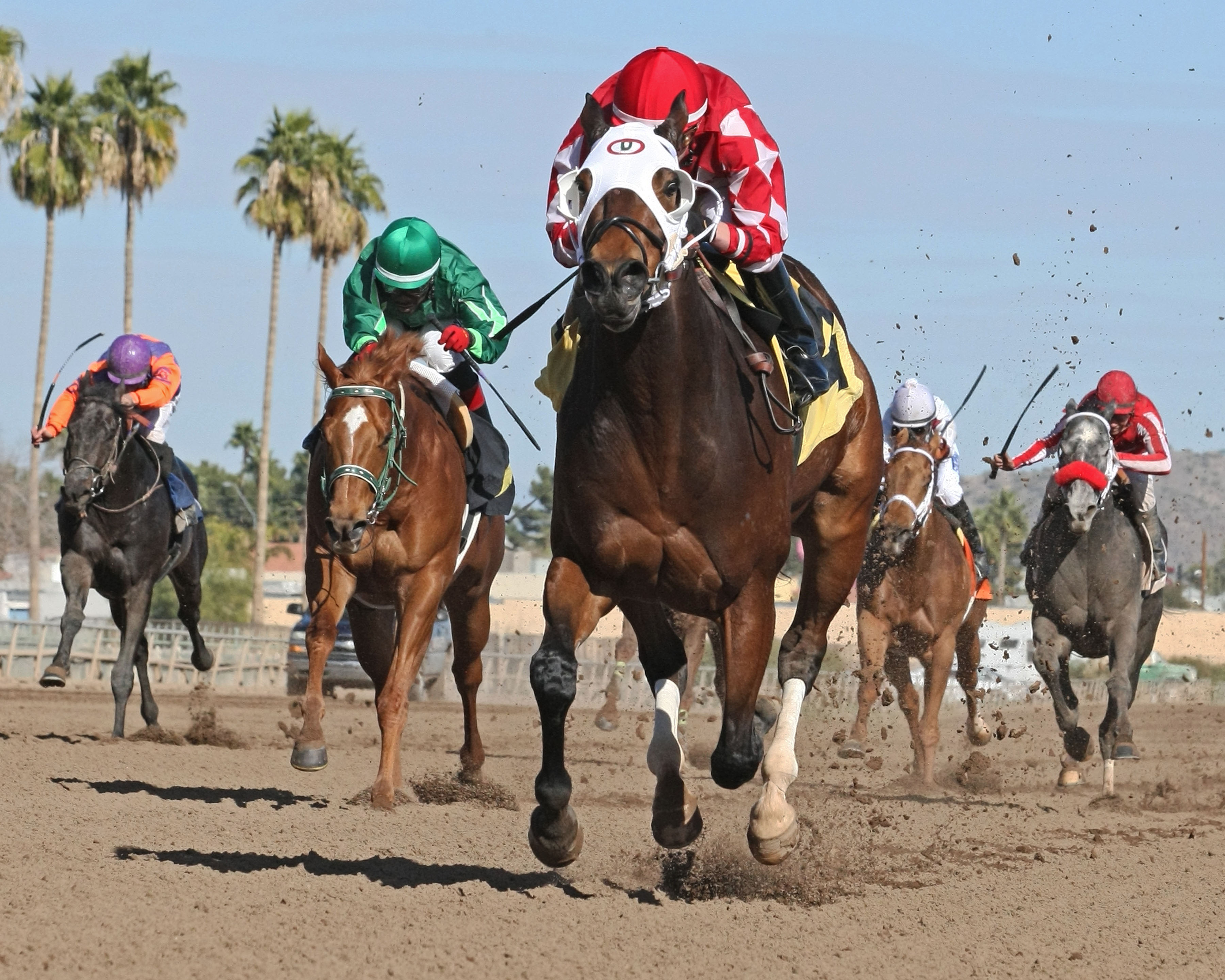 L. A. Weekend wins the Swift Stakes