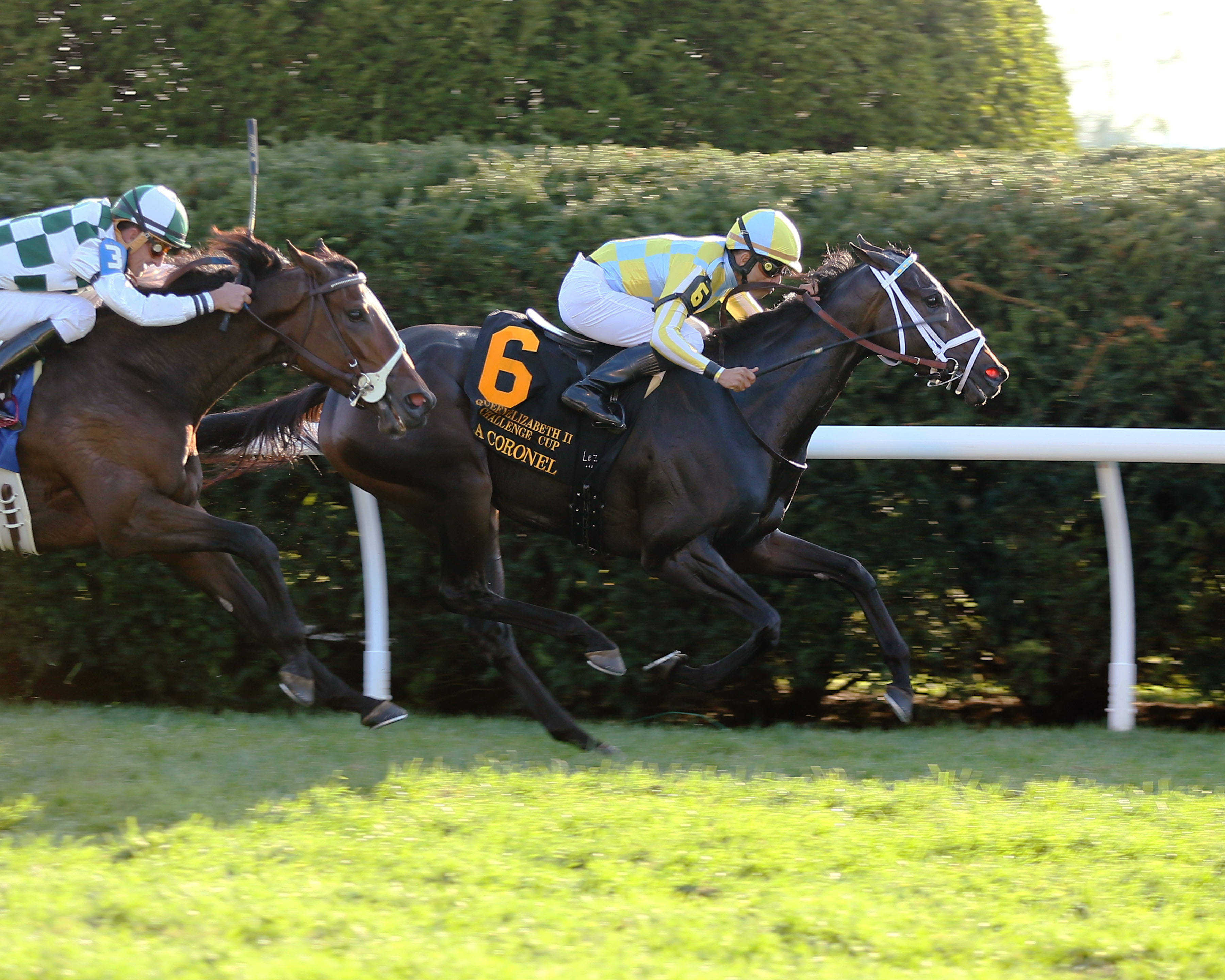 La Coronel wins the 2017 QEII at Keeneland
