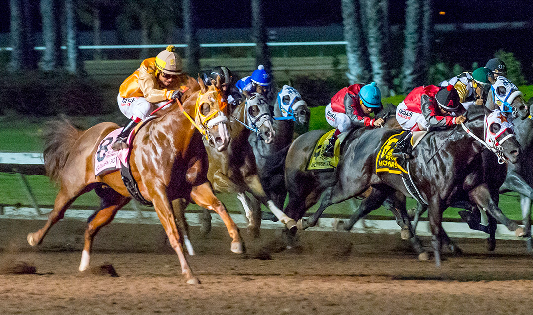 Los Alamitos quarter horse racing