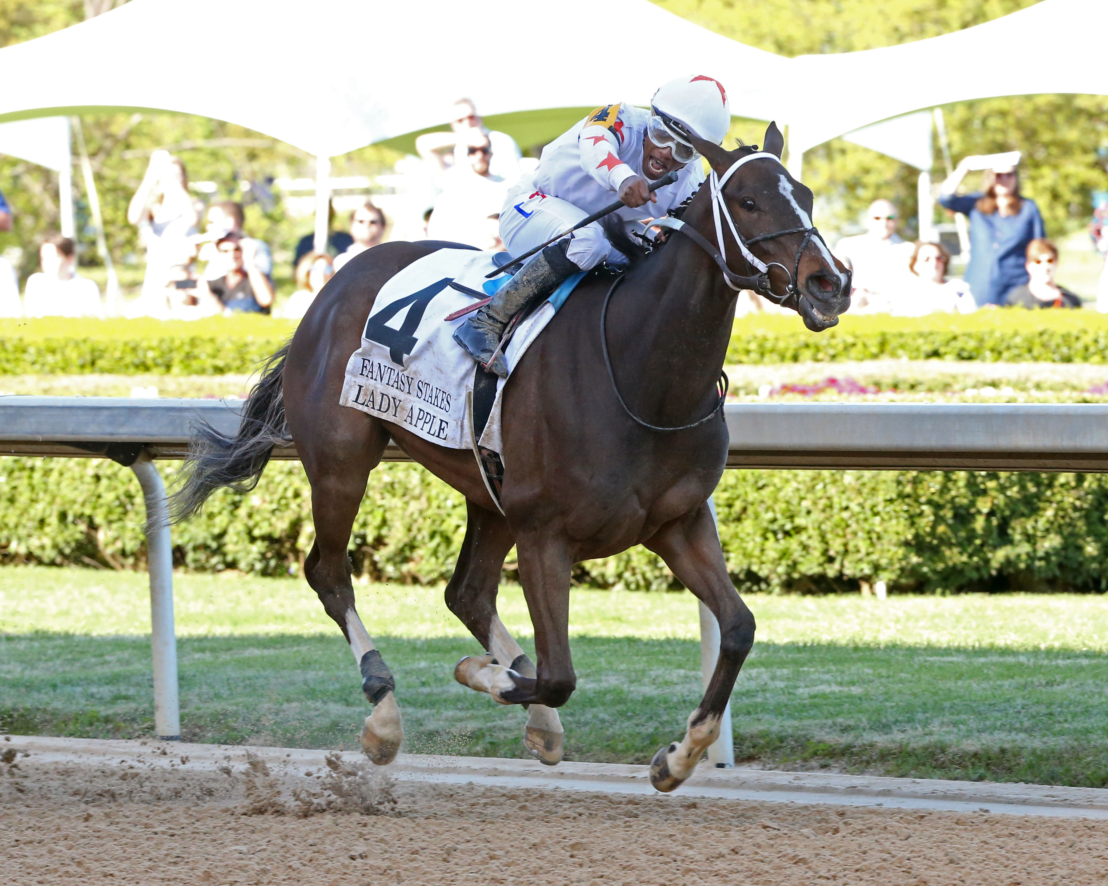 Lady Apple wins the 2019 Fantasy Stakes