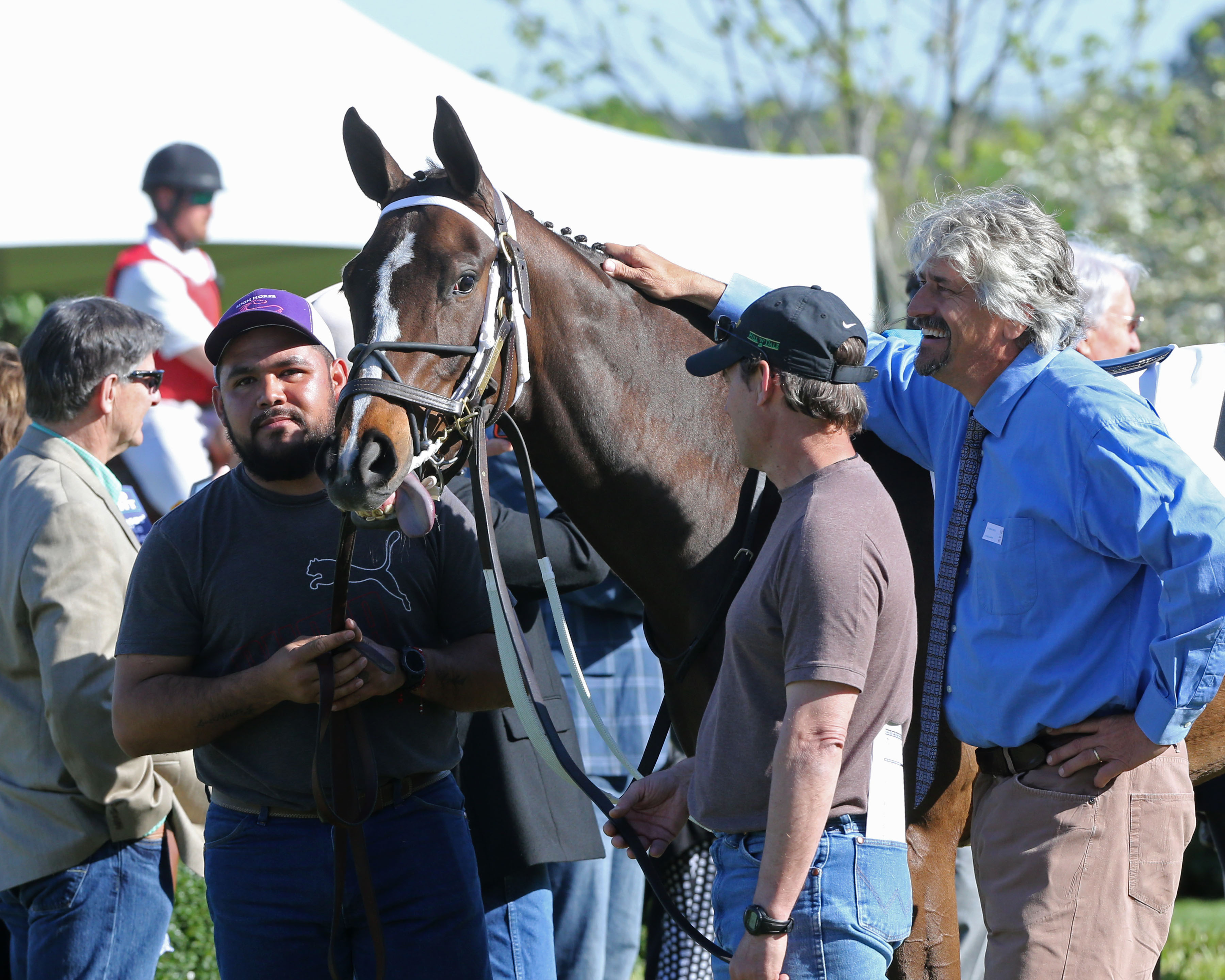 Lady Apple in the paddock with trainer Steve Asmussen before the 2019 Fantasy Stakes