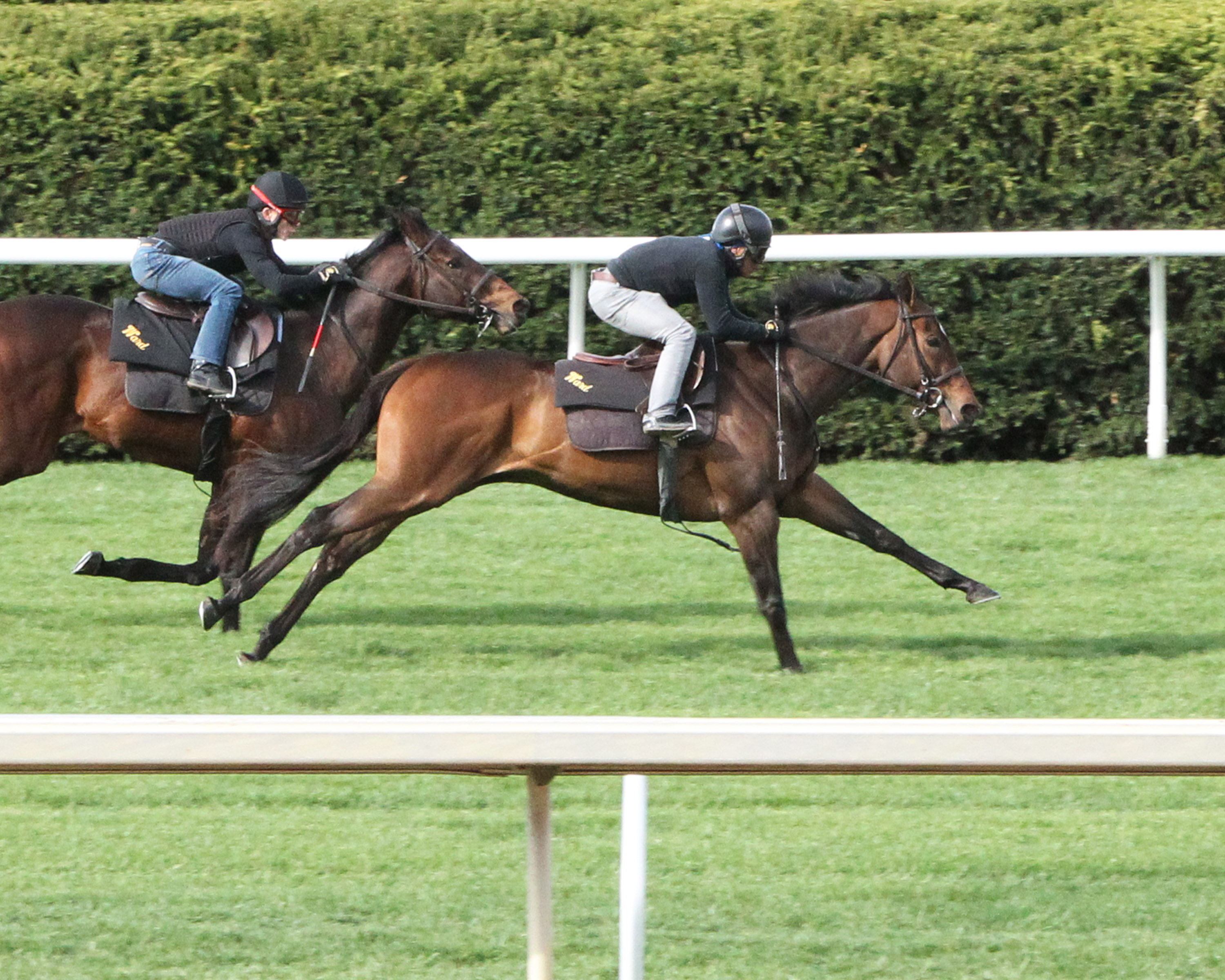 Lady Aurelia