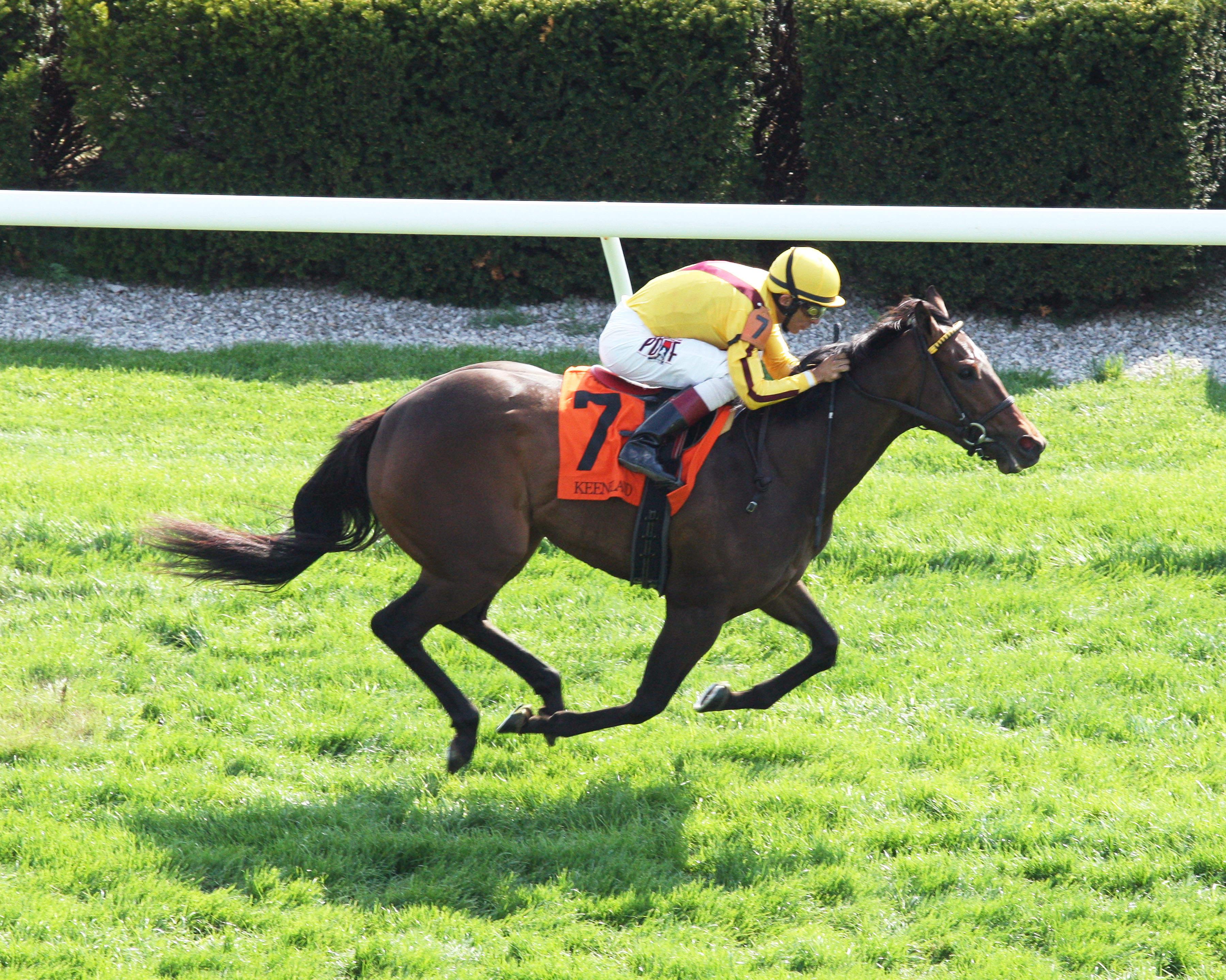 Lady Aurelia