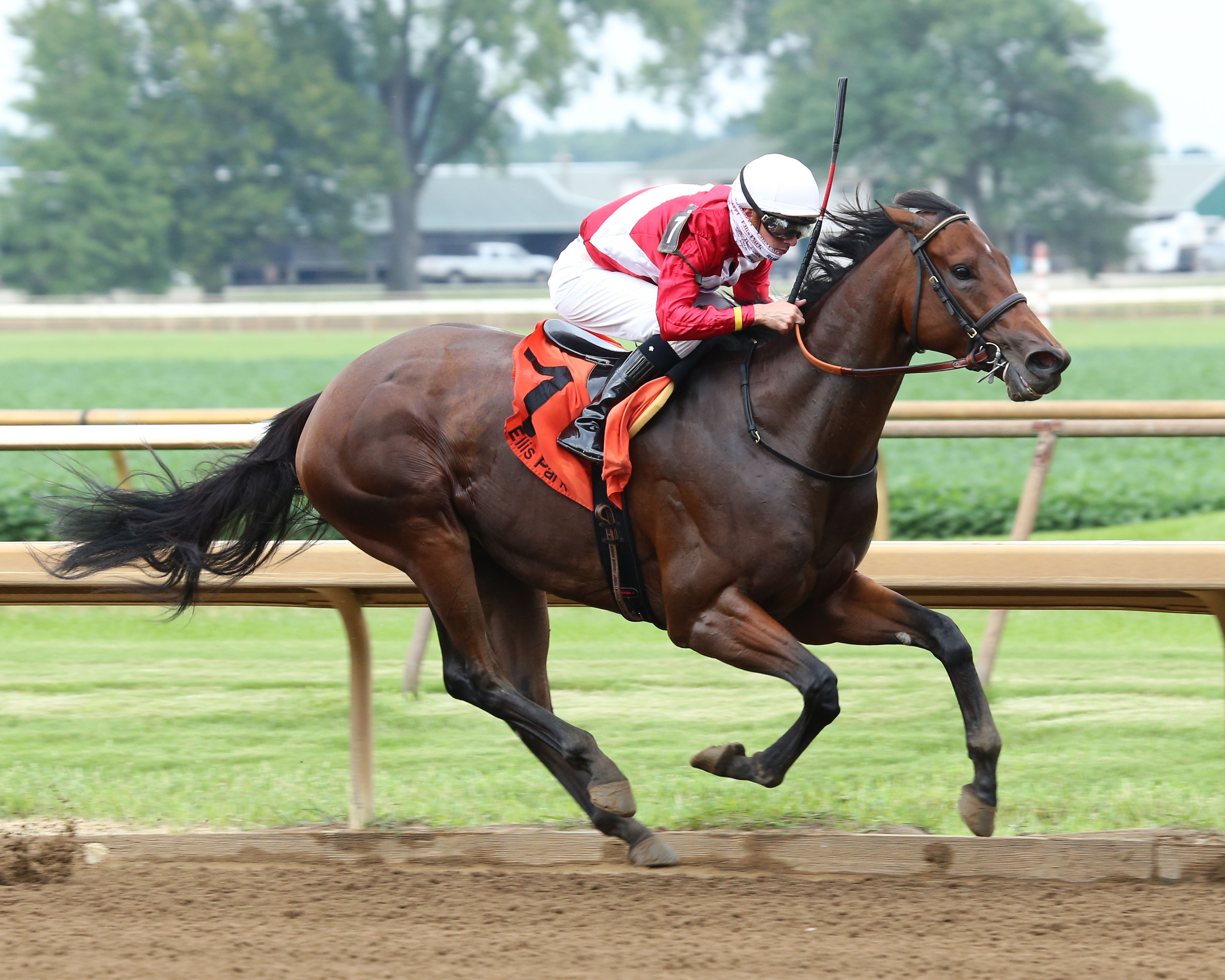 Lady Kate/Groupie Doll