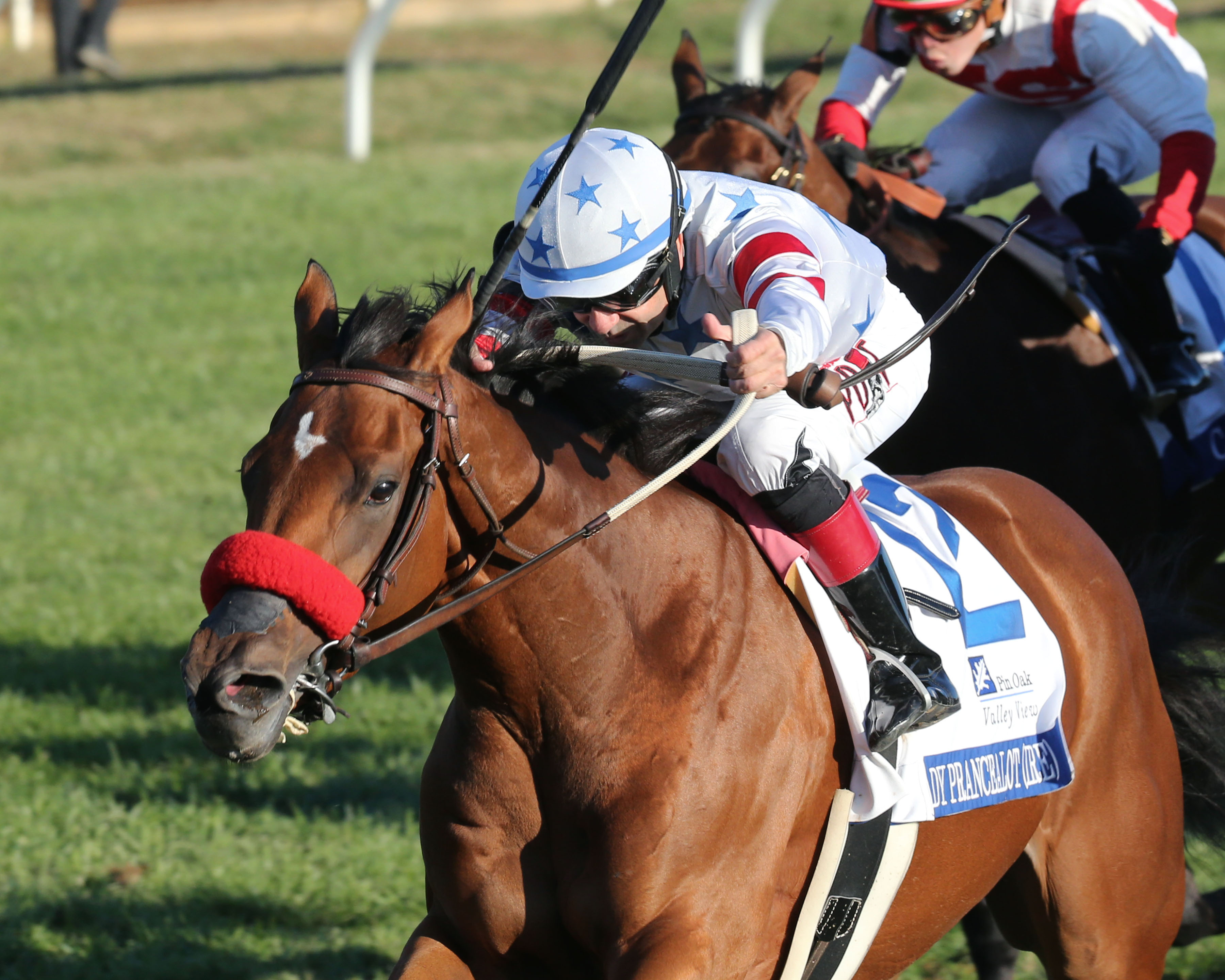 Lady Prancealot wins the 2019 Valley View