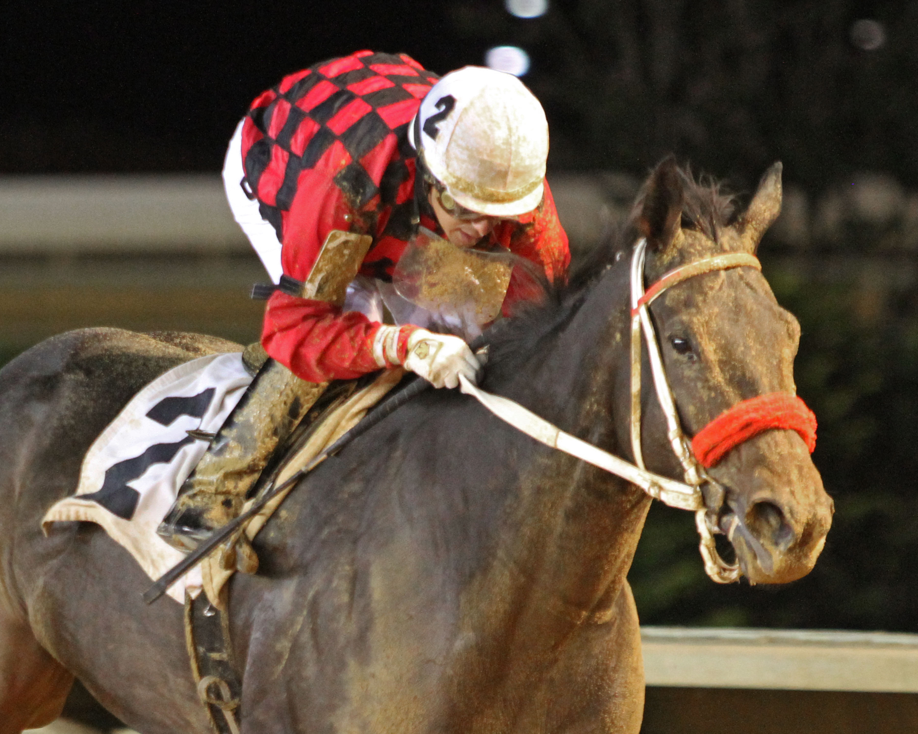 Lake Ponchatrain wins 2018 Misty Bennett Pink Ribbon Stakes