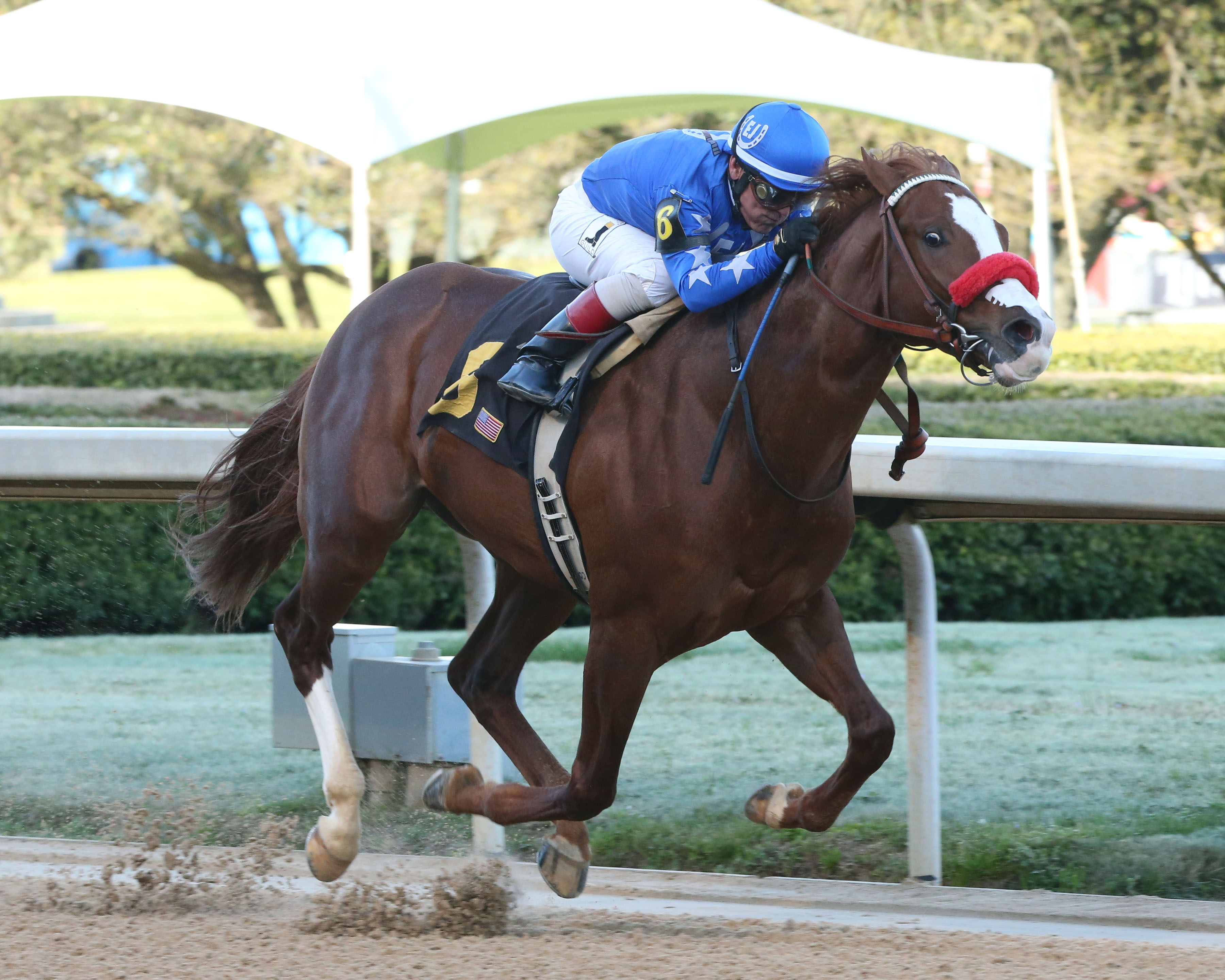 Landeskog wins a maiden race at Oaklawn 3.31.19