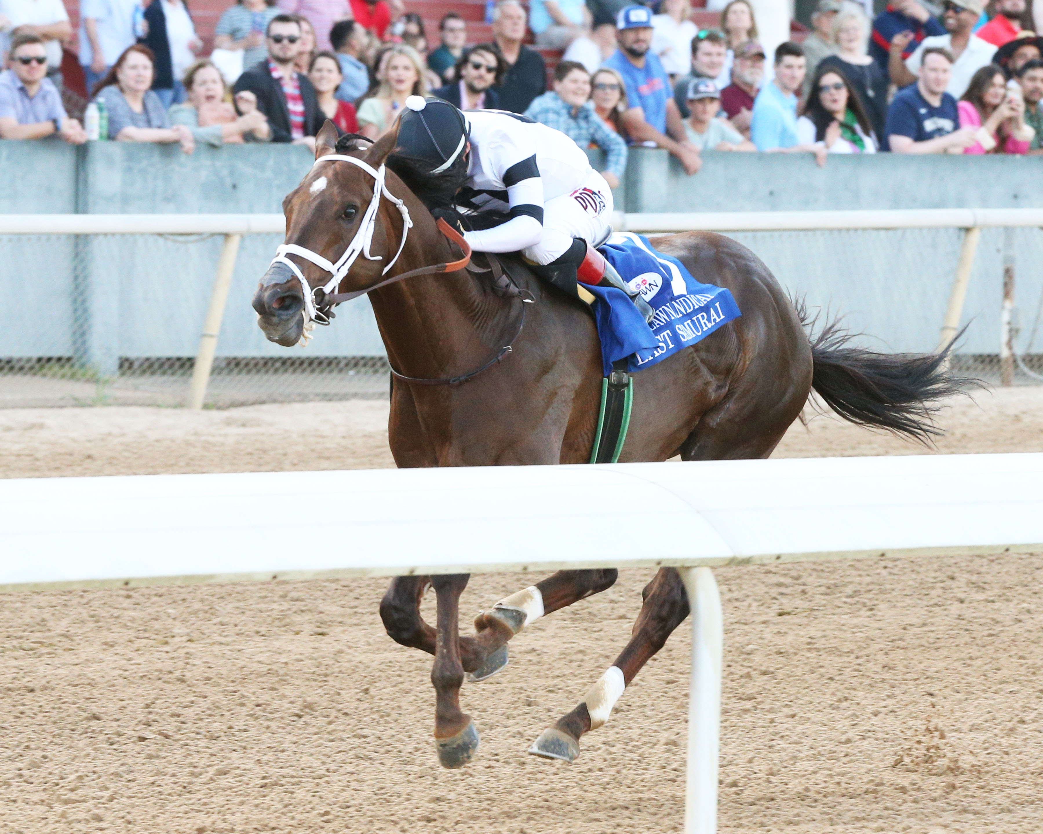 Last Samurai wins Oaklawn Handicap 4-23-2022