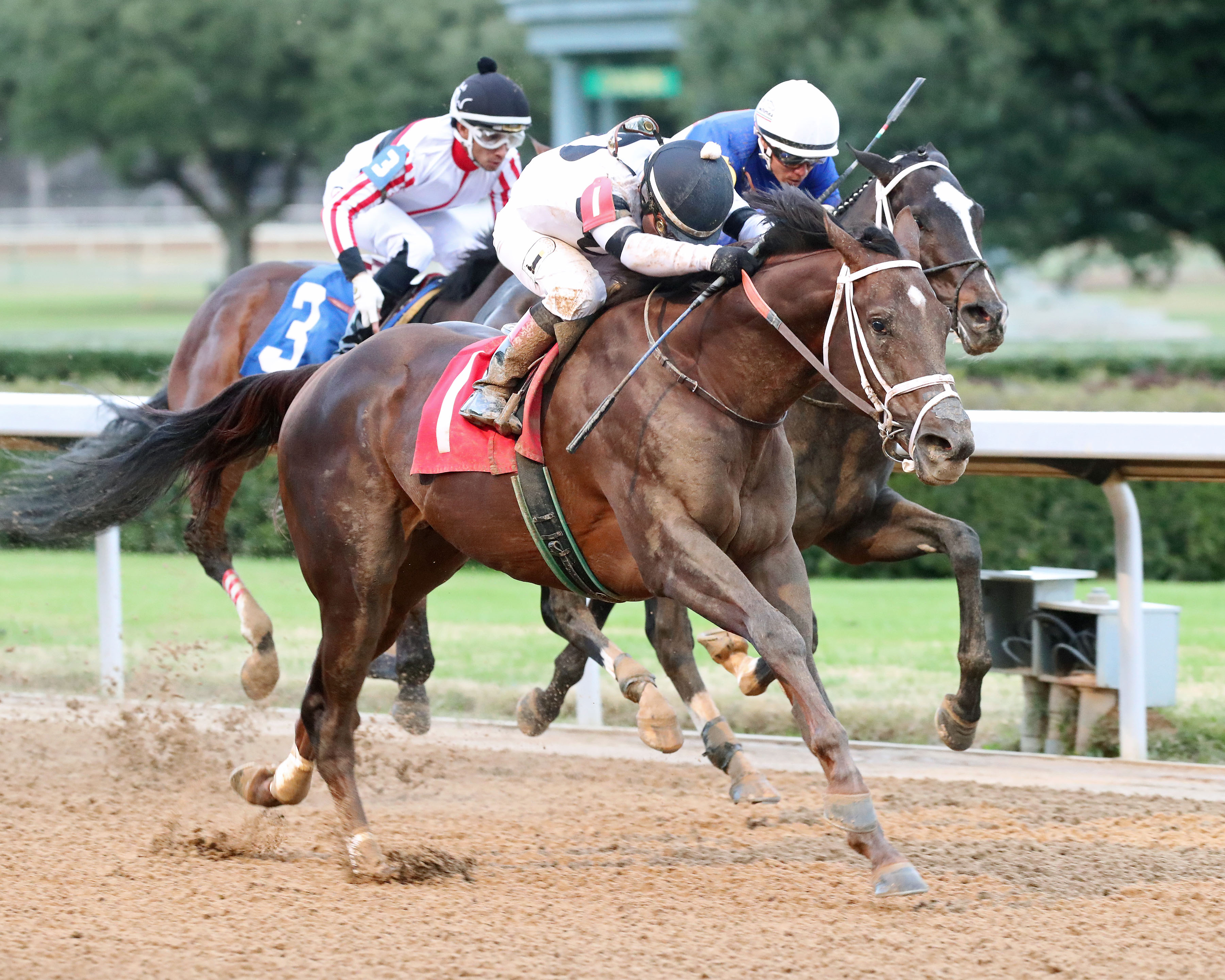 Last Samurai wins Poinsettia 12-11-2021