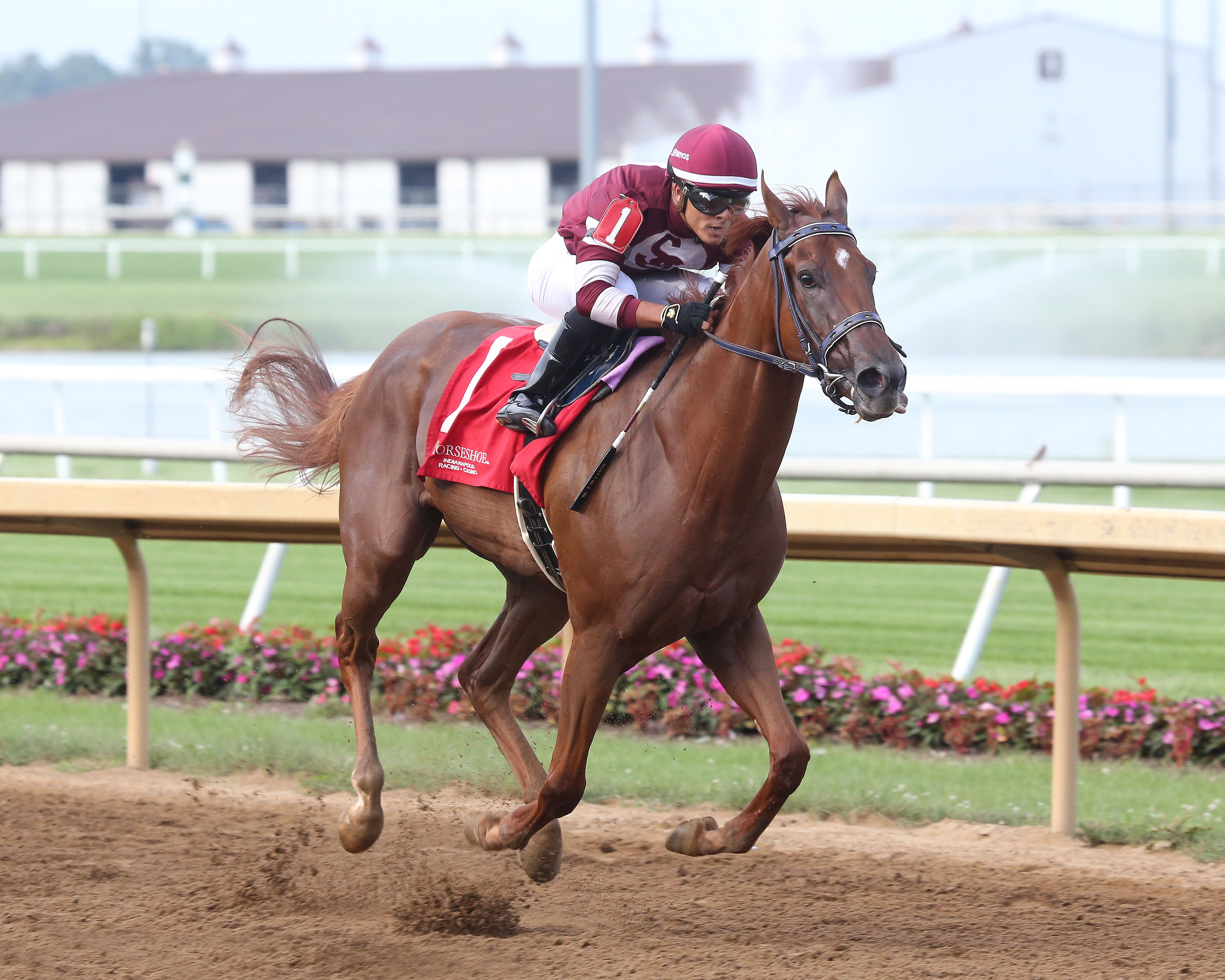 Latigo, Governor's Stakes