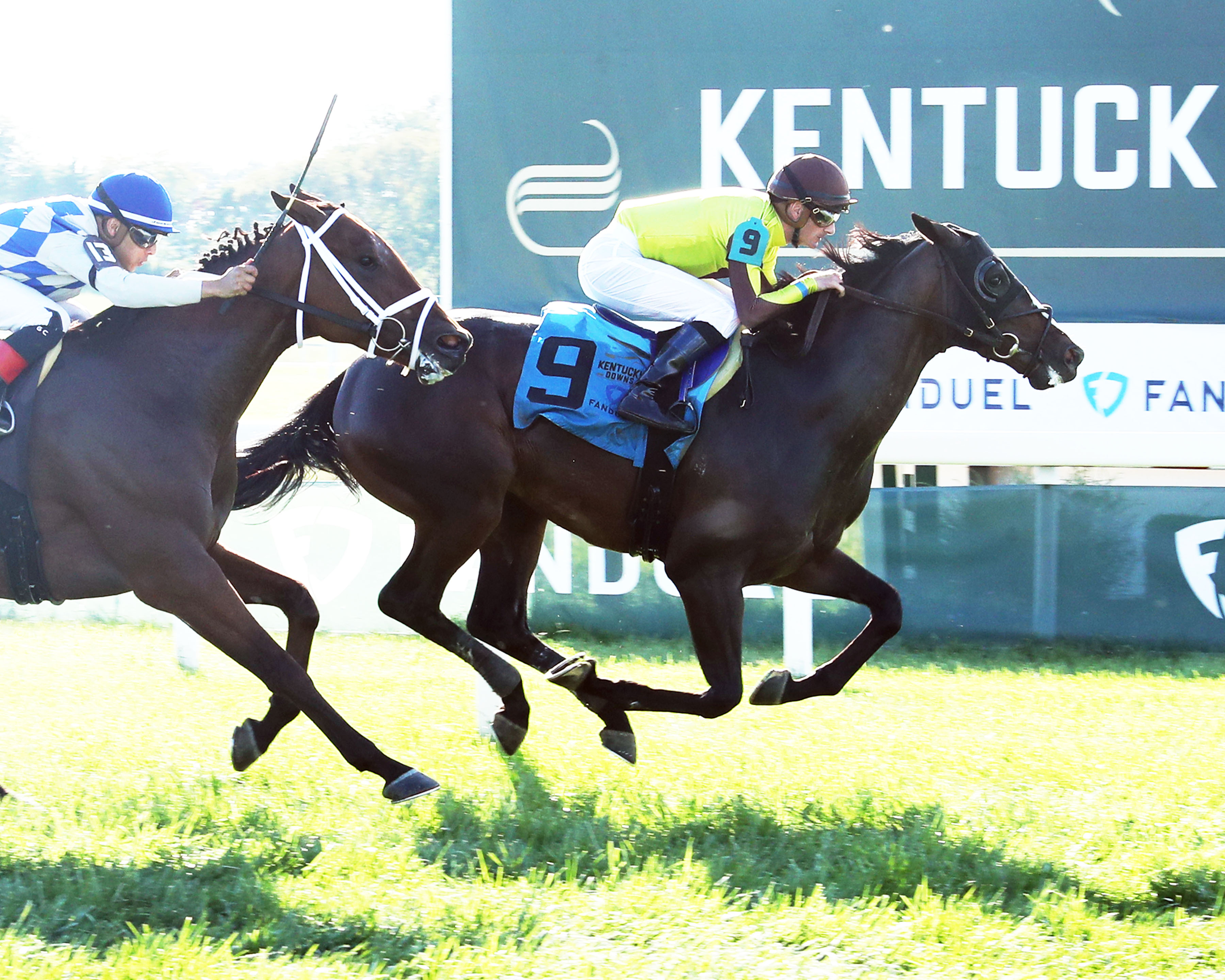 Law Professor - Tapit S. 2022
