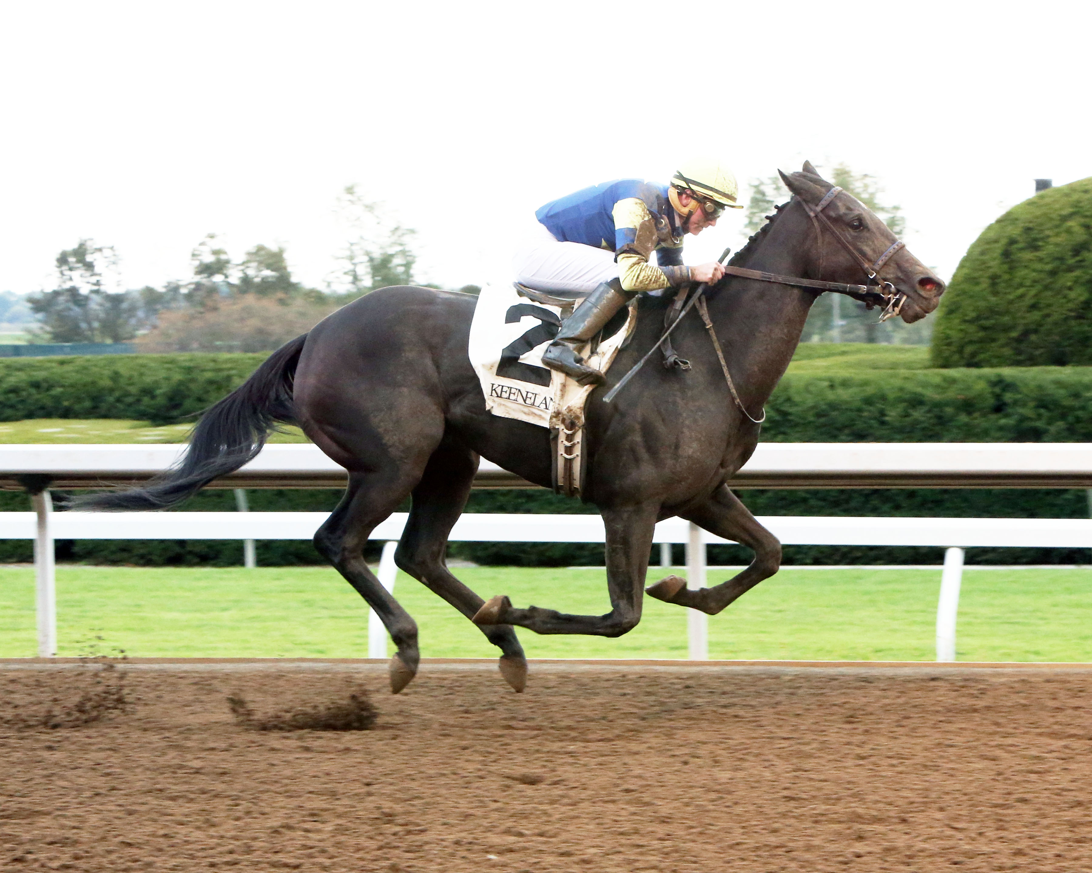 Leigh Court wins 2014 TCA