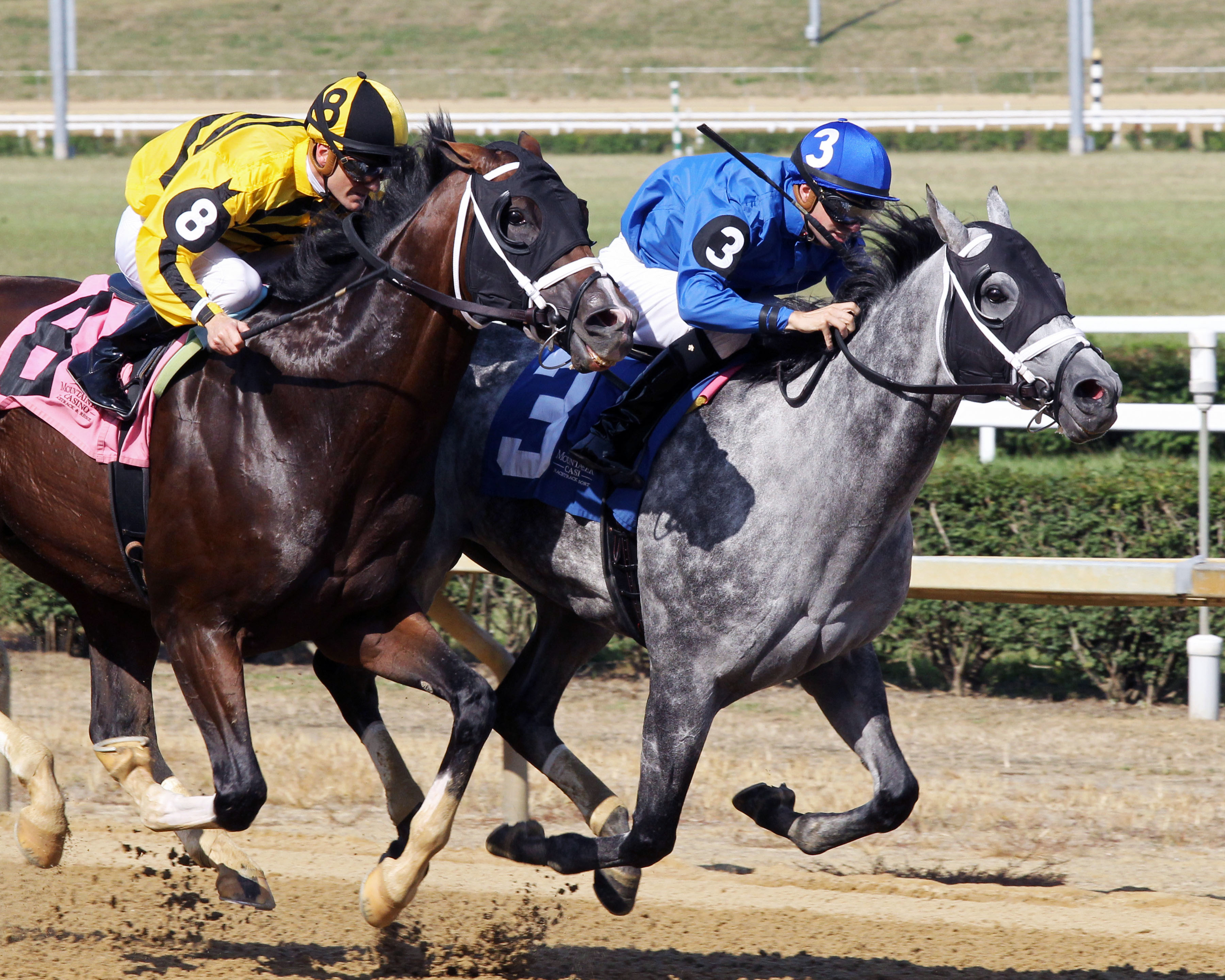 Leofric wins 2018 WVA Governor's Stakes