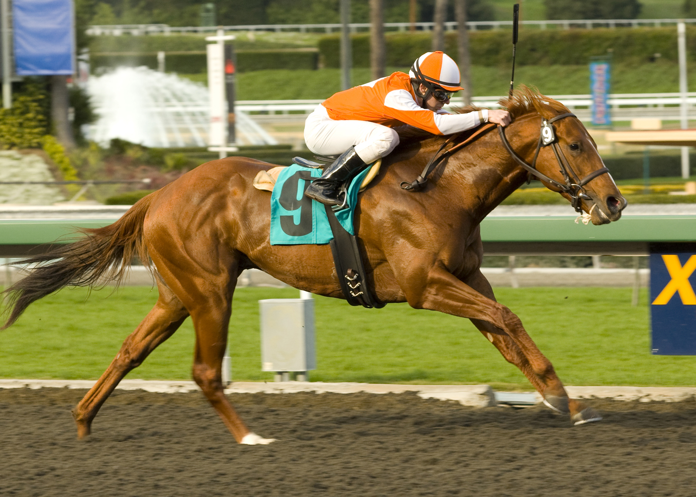 Leothelion/maiden win