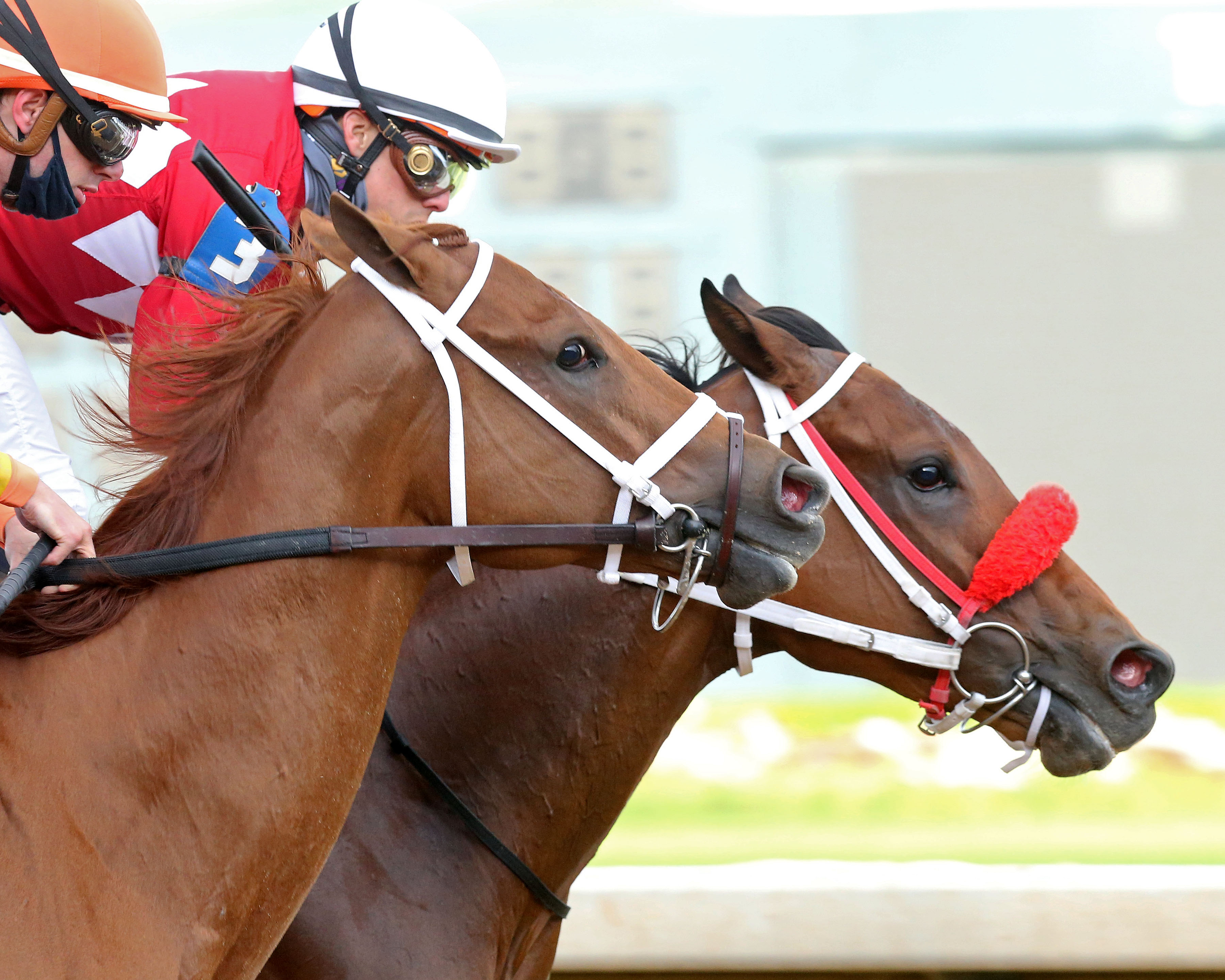 Letruska wins Apple Blossom 4-17-2021