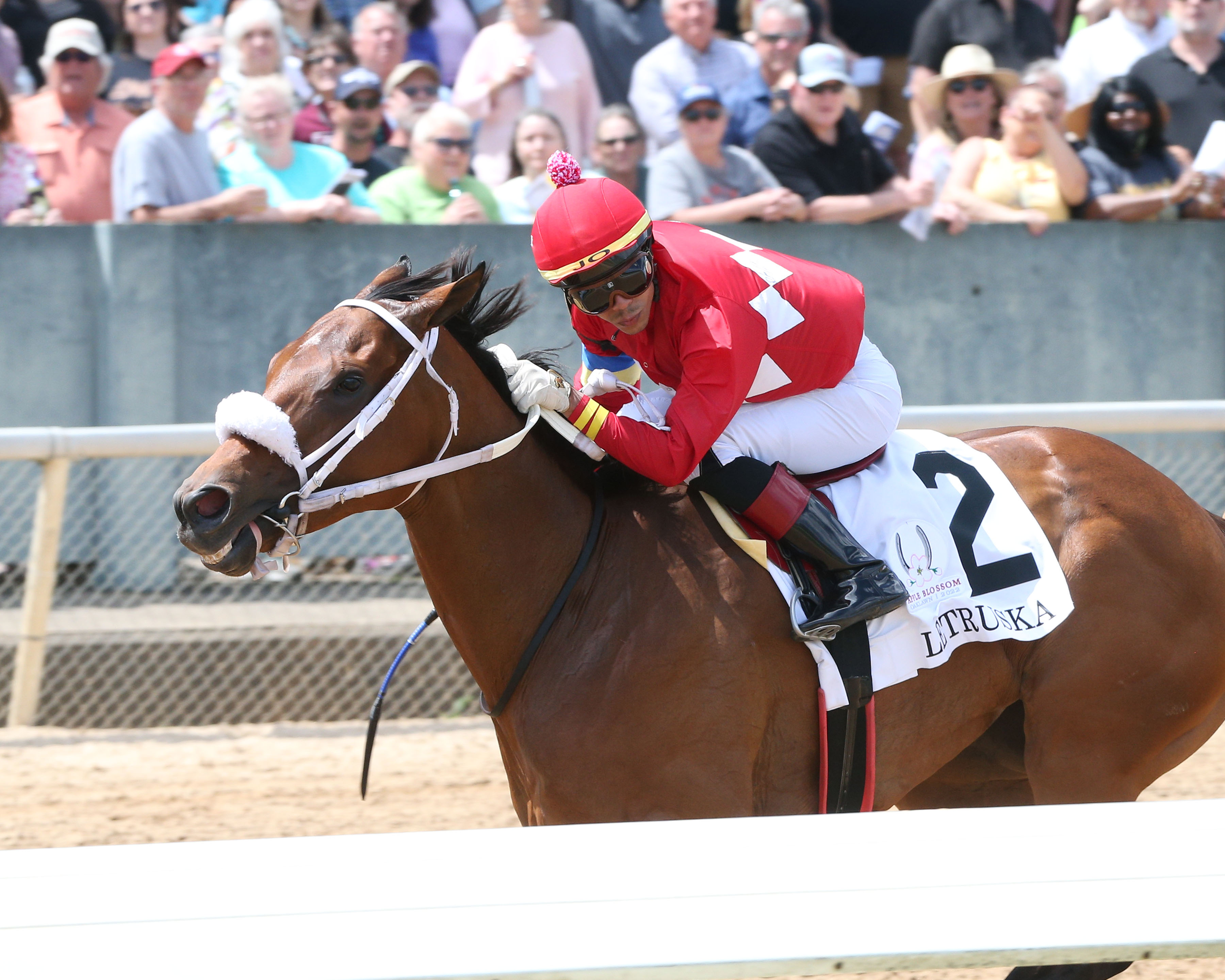 Letruska wins Apple Blossom 4-23-2022