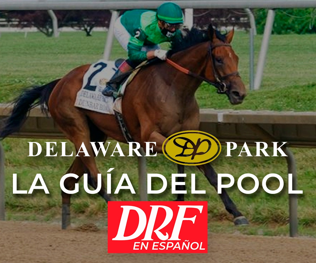 La Guia del Pool Delaware Park