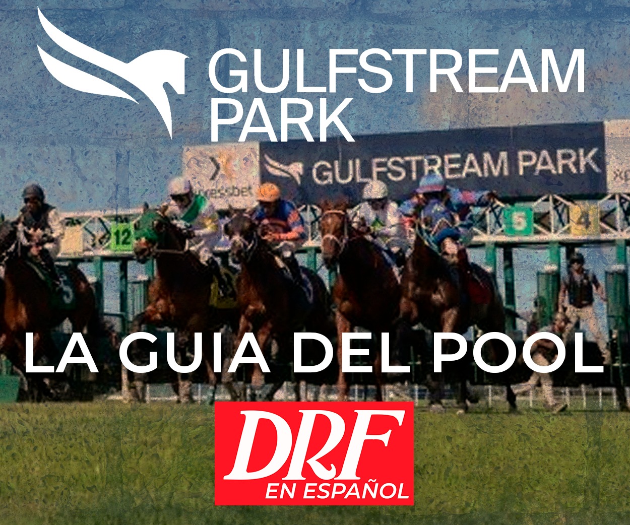 La Guia del Pool - Gulfstream Park