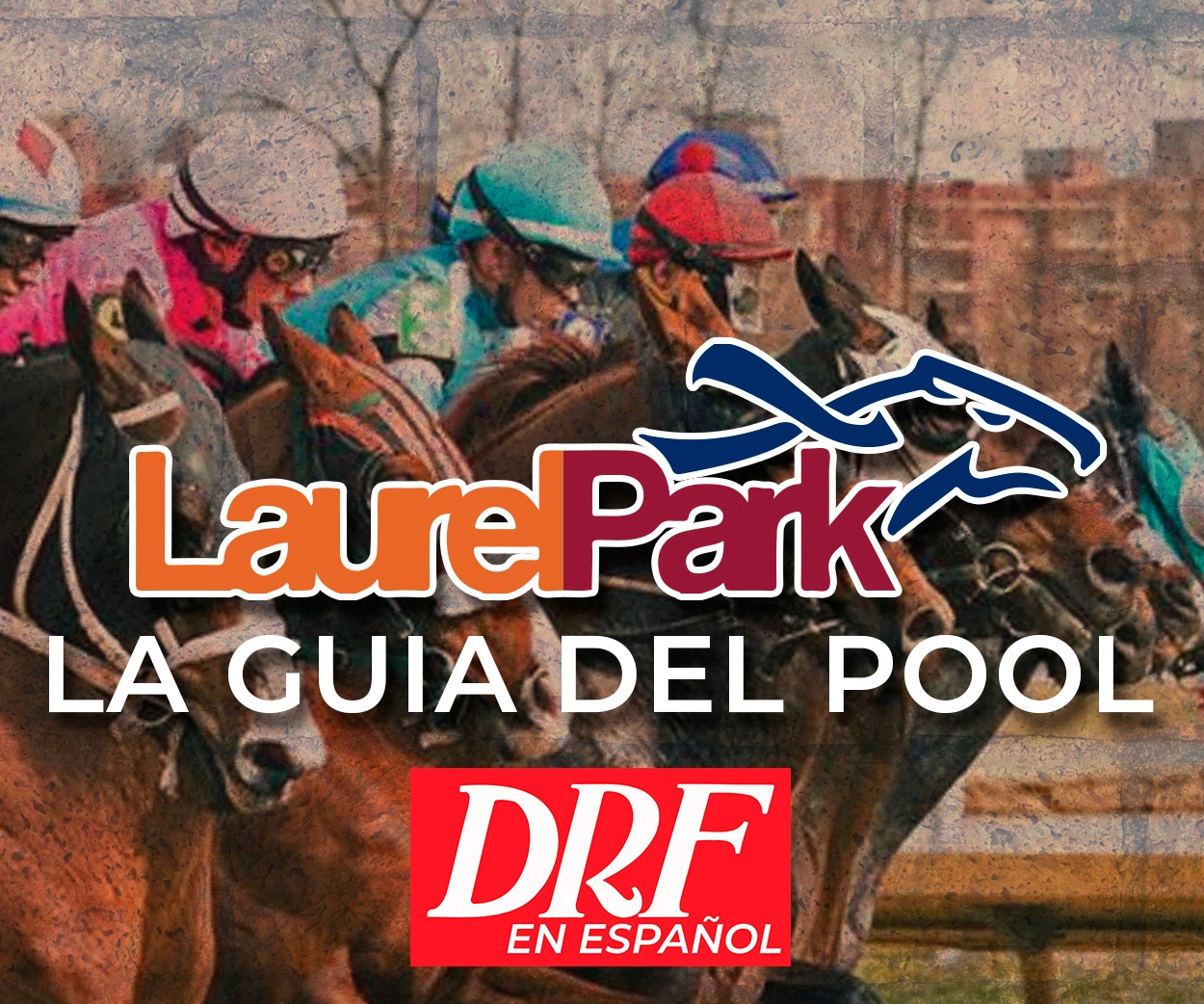 La Guia del Pool Laurel Park