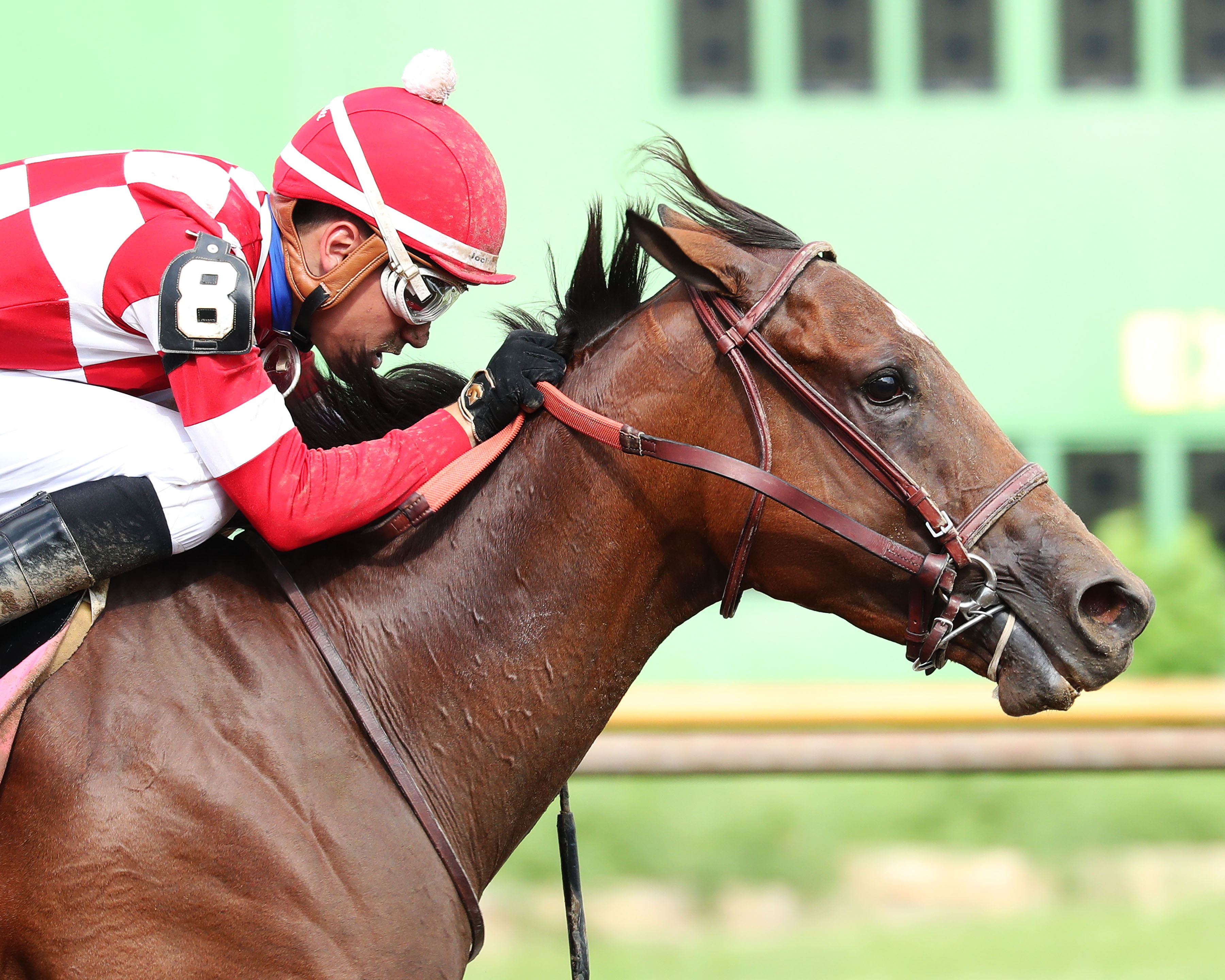 Li'l Tootsie wins Groupie Doll Stakes 8-14-2022