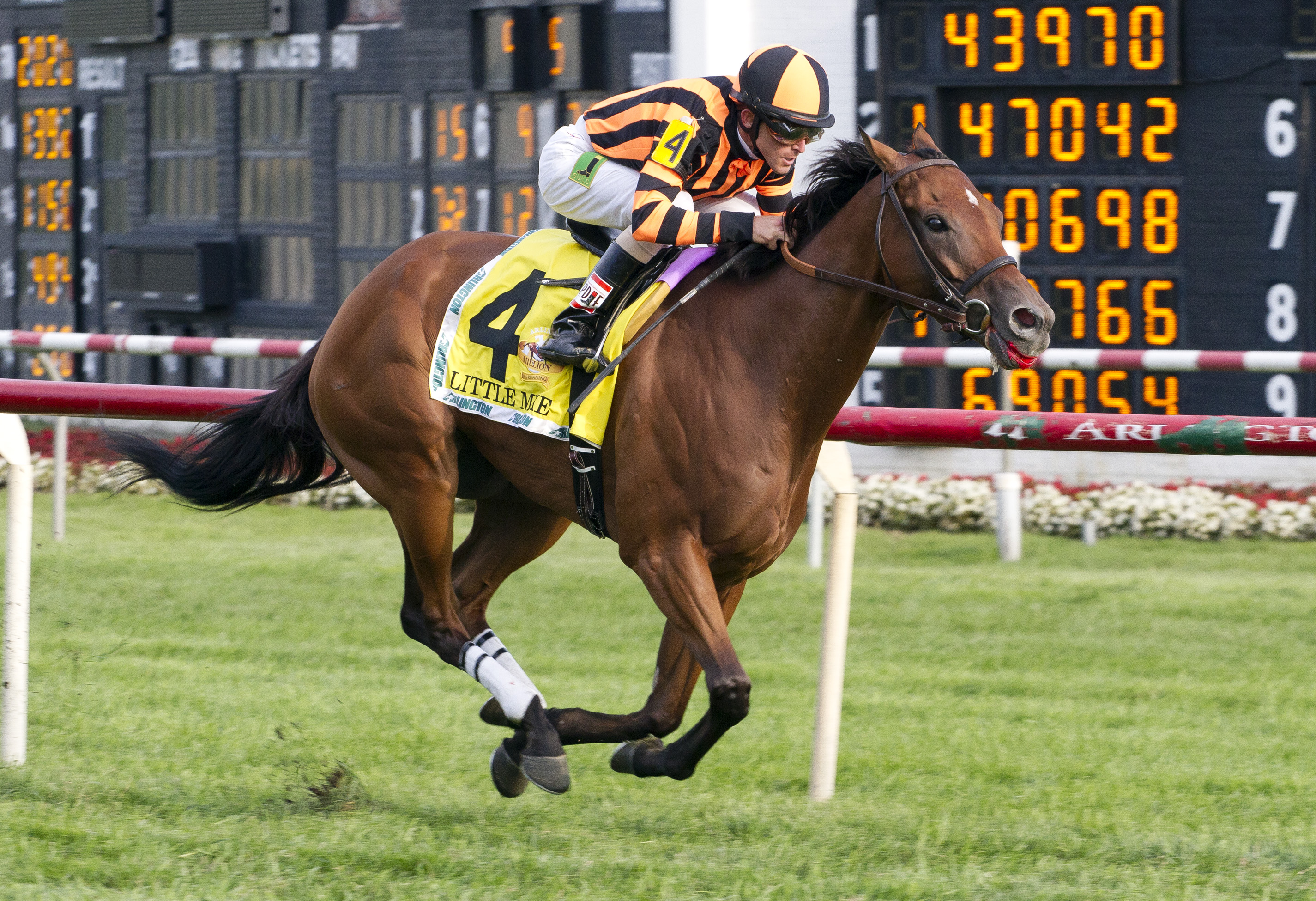 Little Mike/Arlington Million