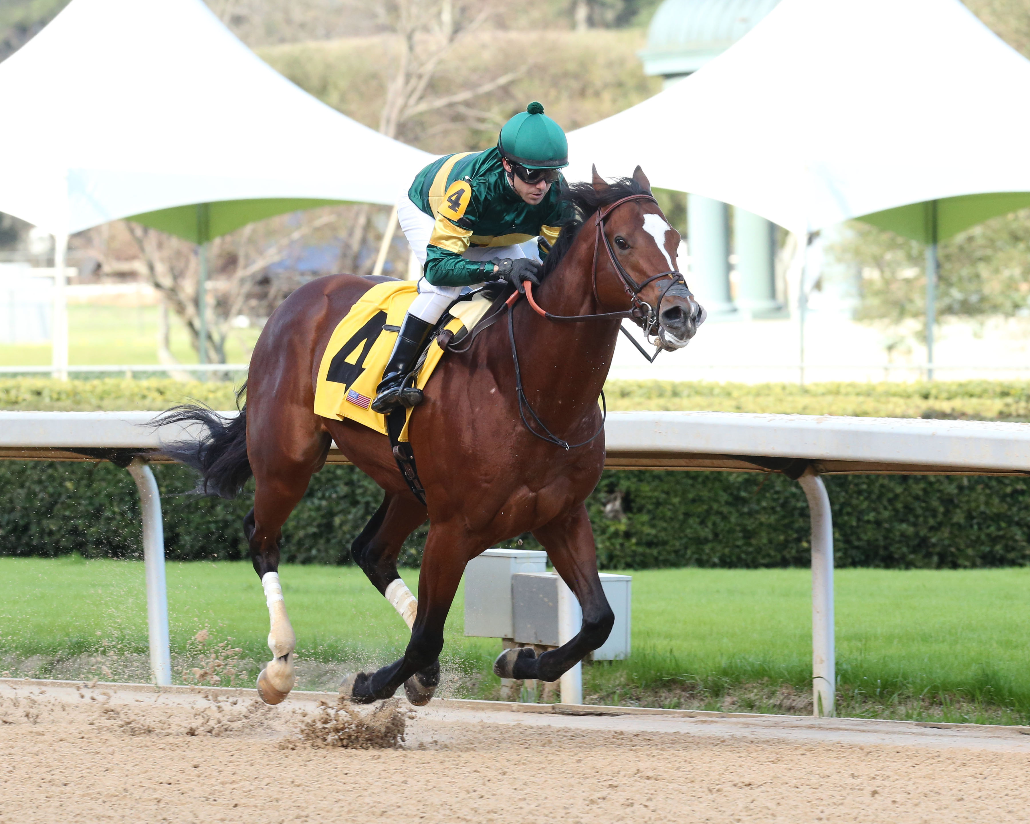 Long Weekend wins the 2020 Gazebo Stakes