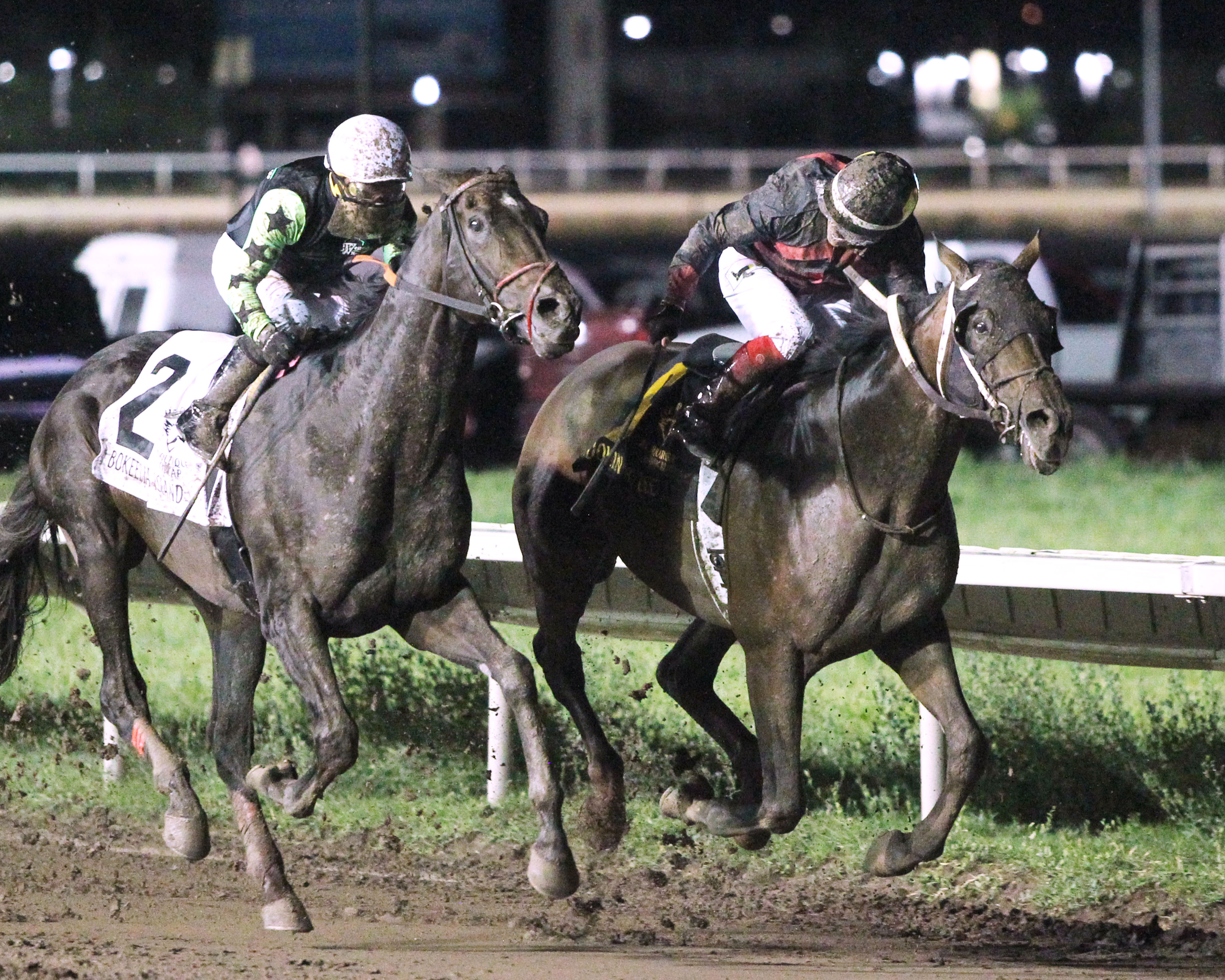 Lookin At Lee (right) wins the 2019 Downs at Albuquerque Handicap