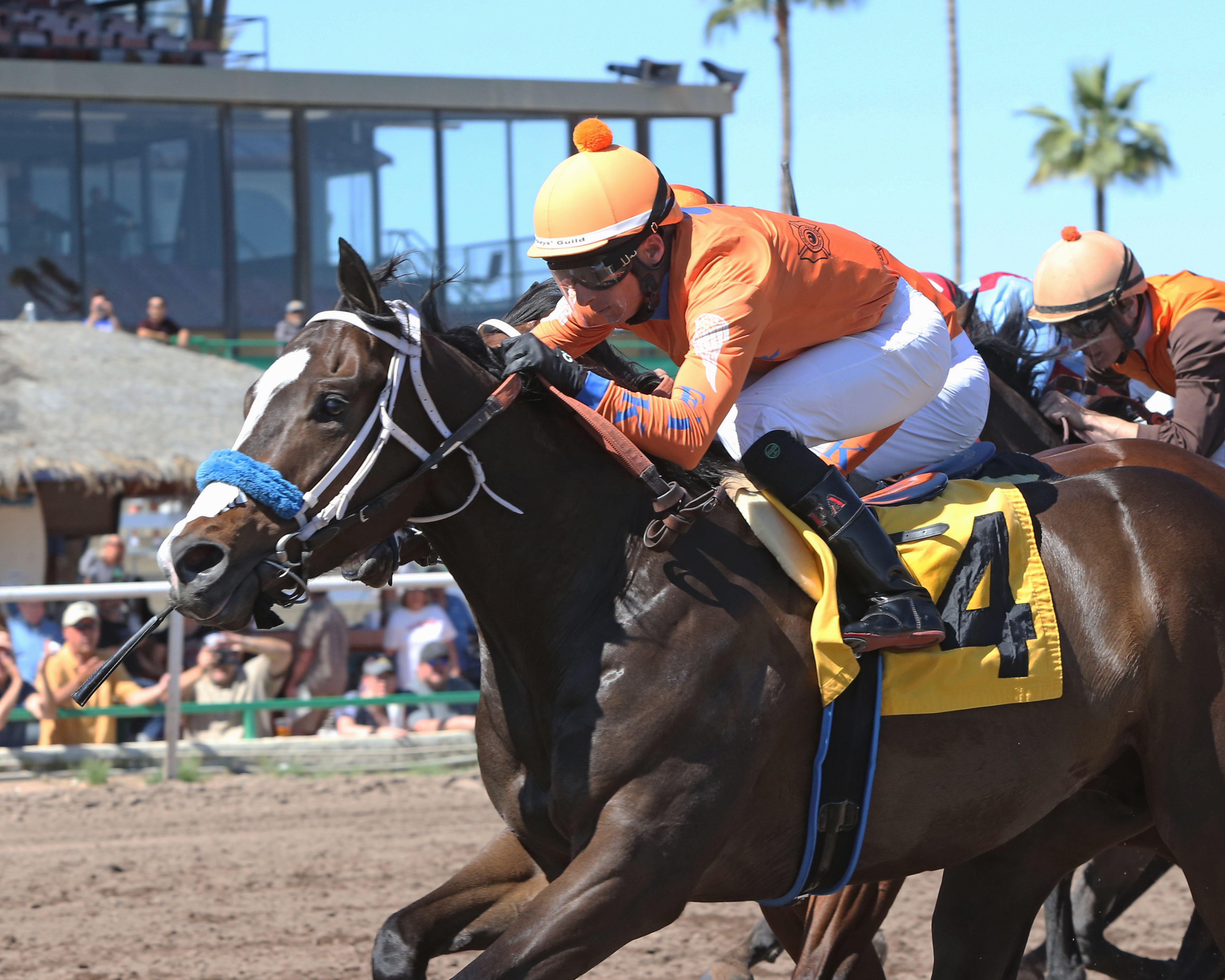 Loud N Proud wins the 2019 Arizona Stallion Stakes