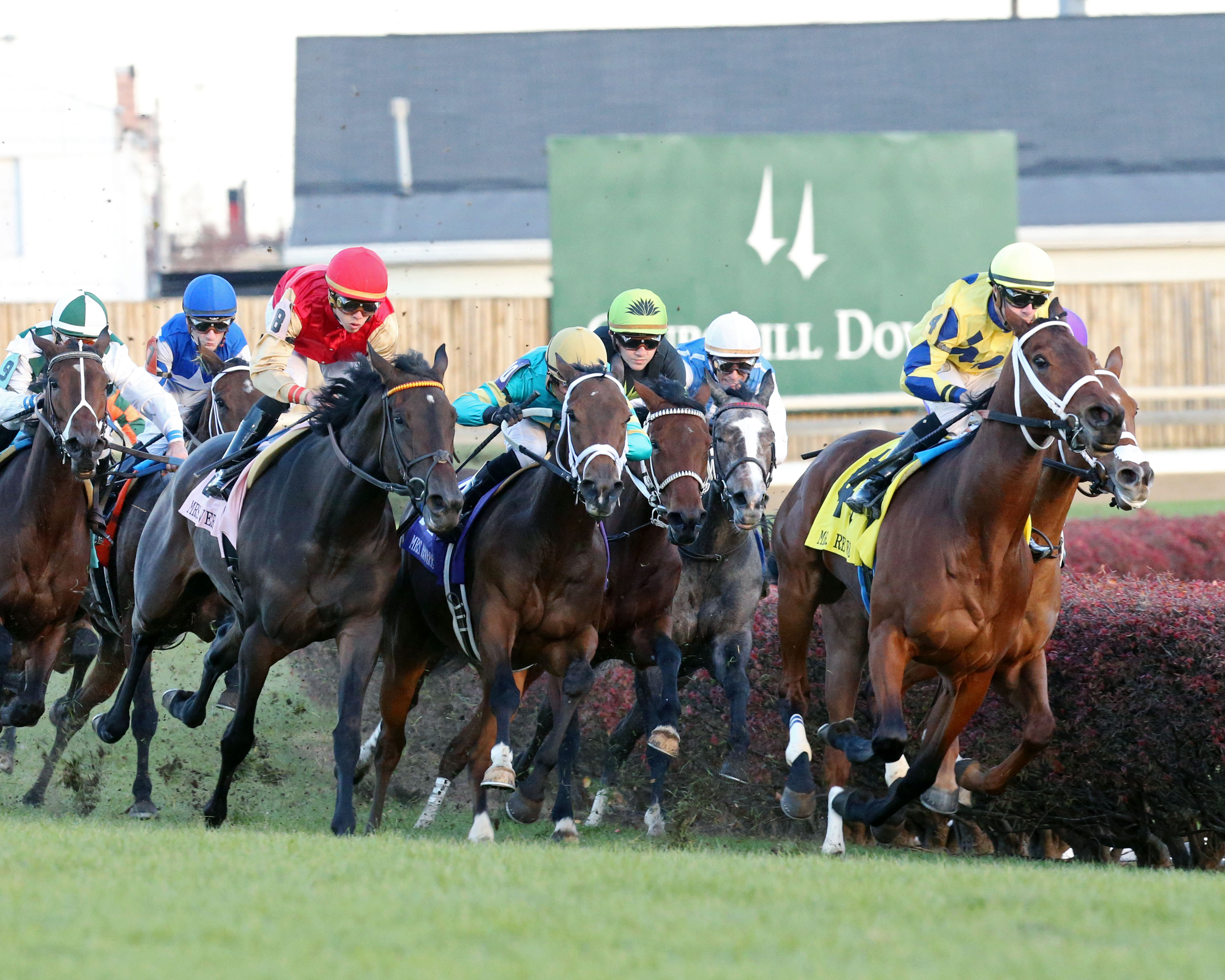 Lovely Bernadette wins 2017 Mrs. Revere