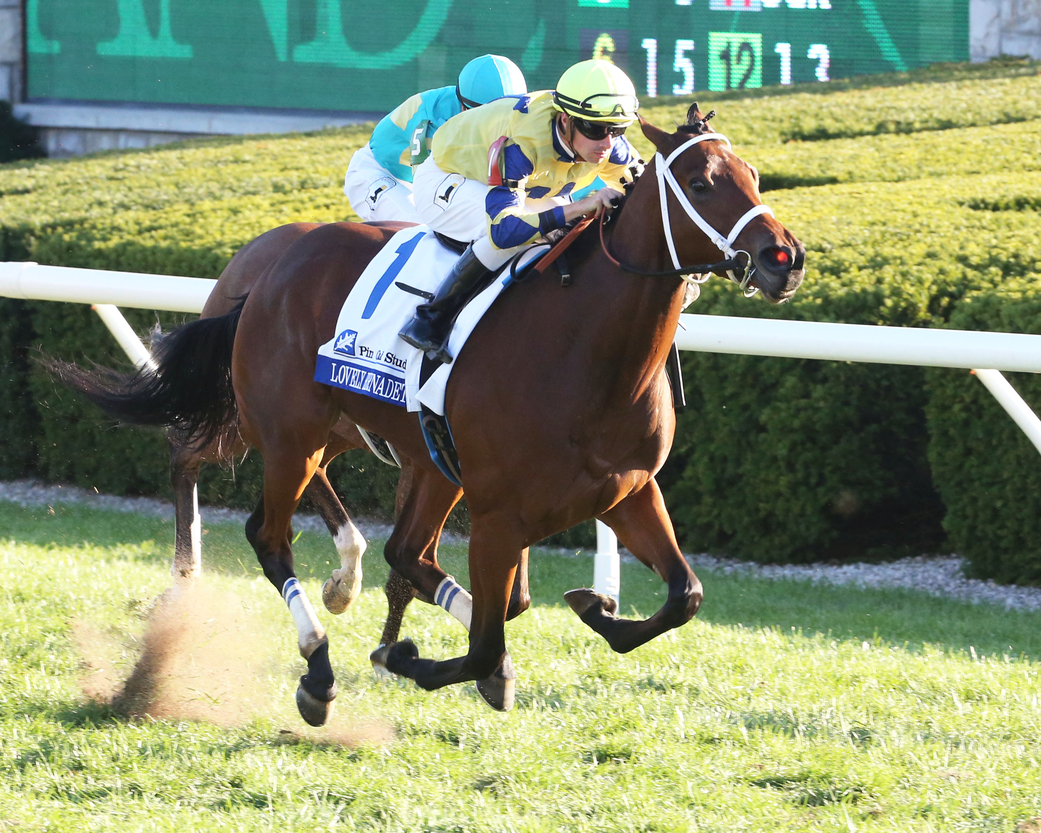 Lovely Bernadette wins the 2017 Valley View Stakes