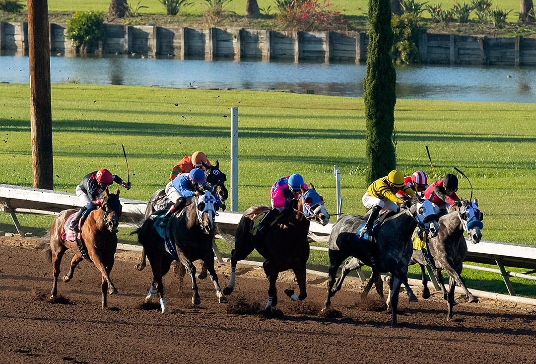 Los Alamitos Race Course