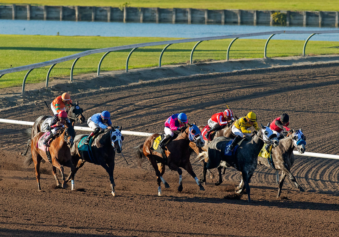 Los Alamitos Race Course