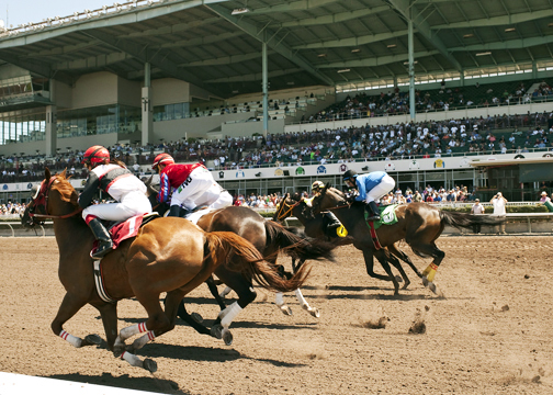 Los Alamitos thoroughbred race start