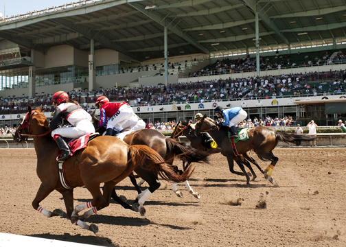 Los Alamitos thoroughbred racing