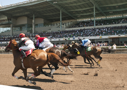 Los Alamitos Race Course dirt racing